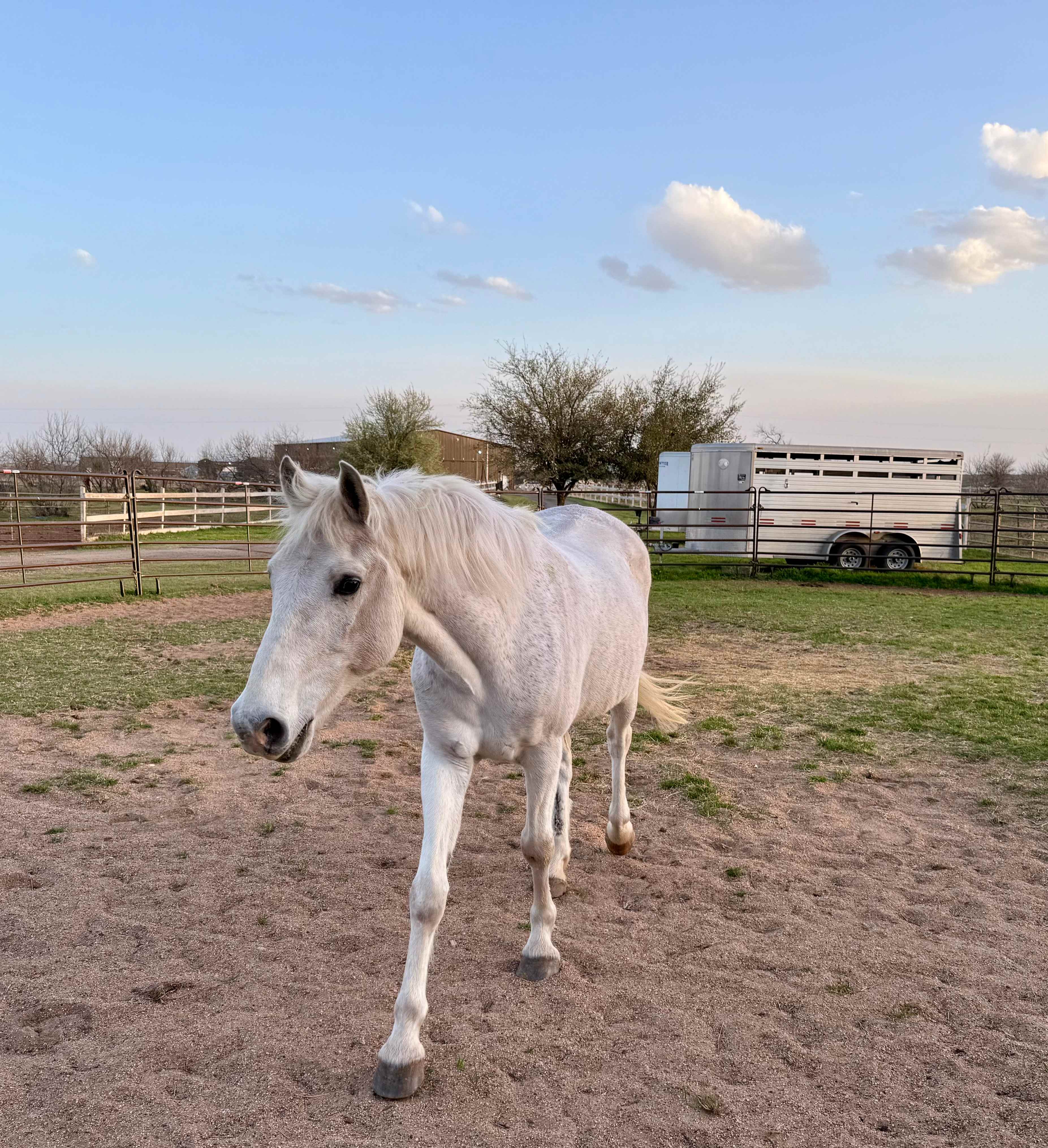 KW Equine Sanctuary and Ranch