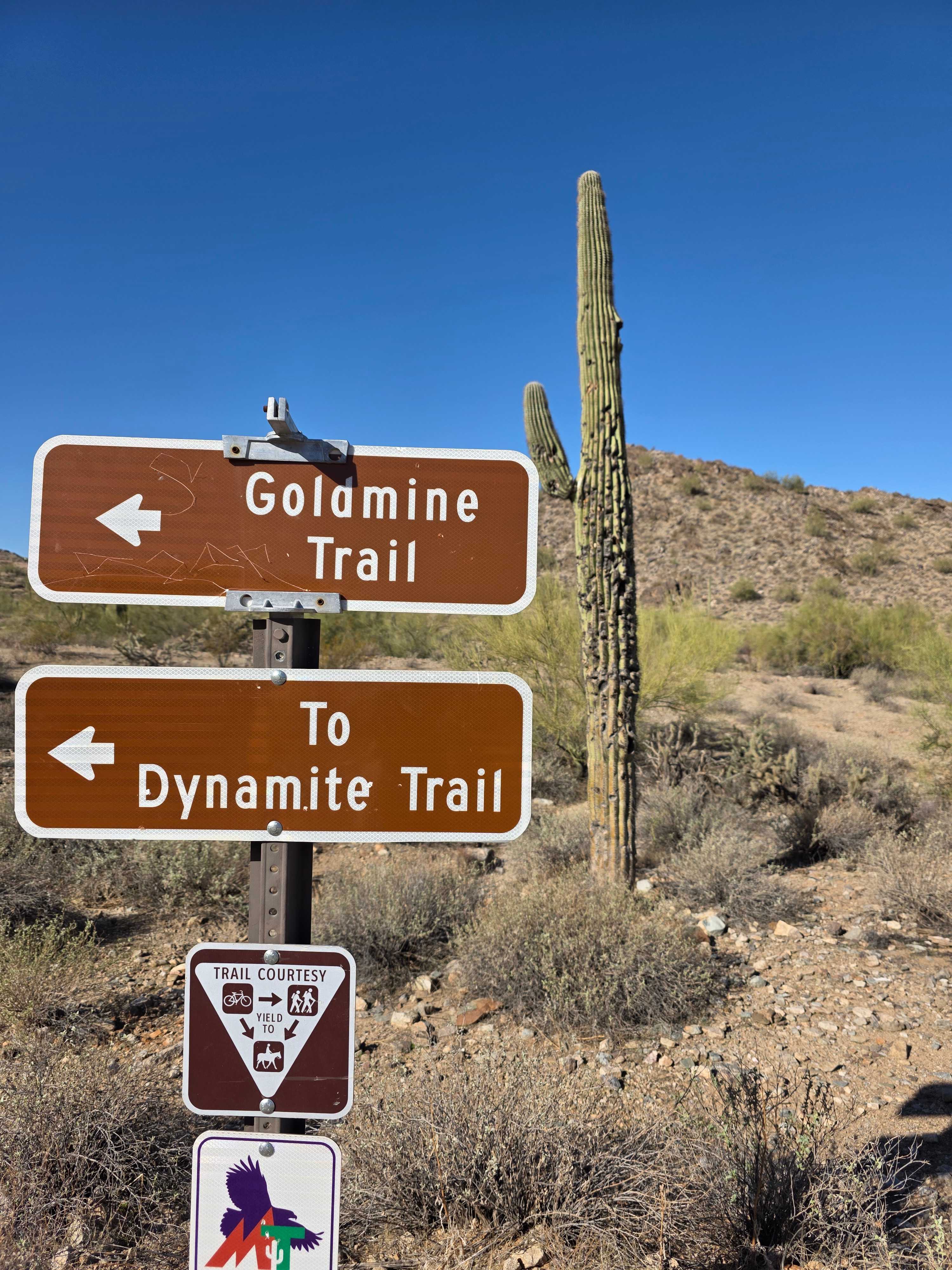 Trails near campsite.