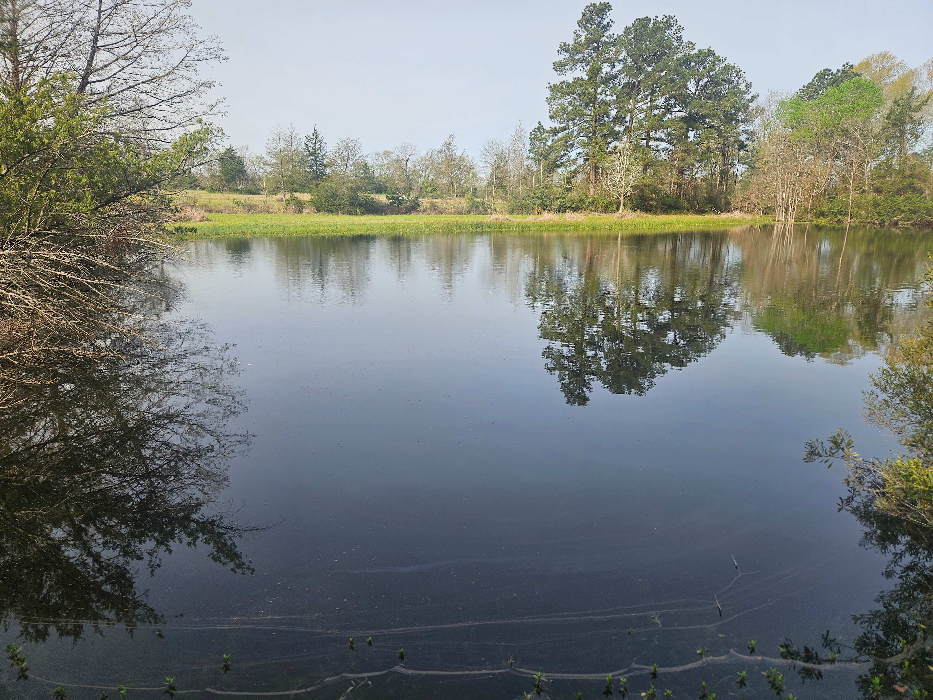 🌲🎣 THE OASIS – Fishing & Camping