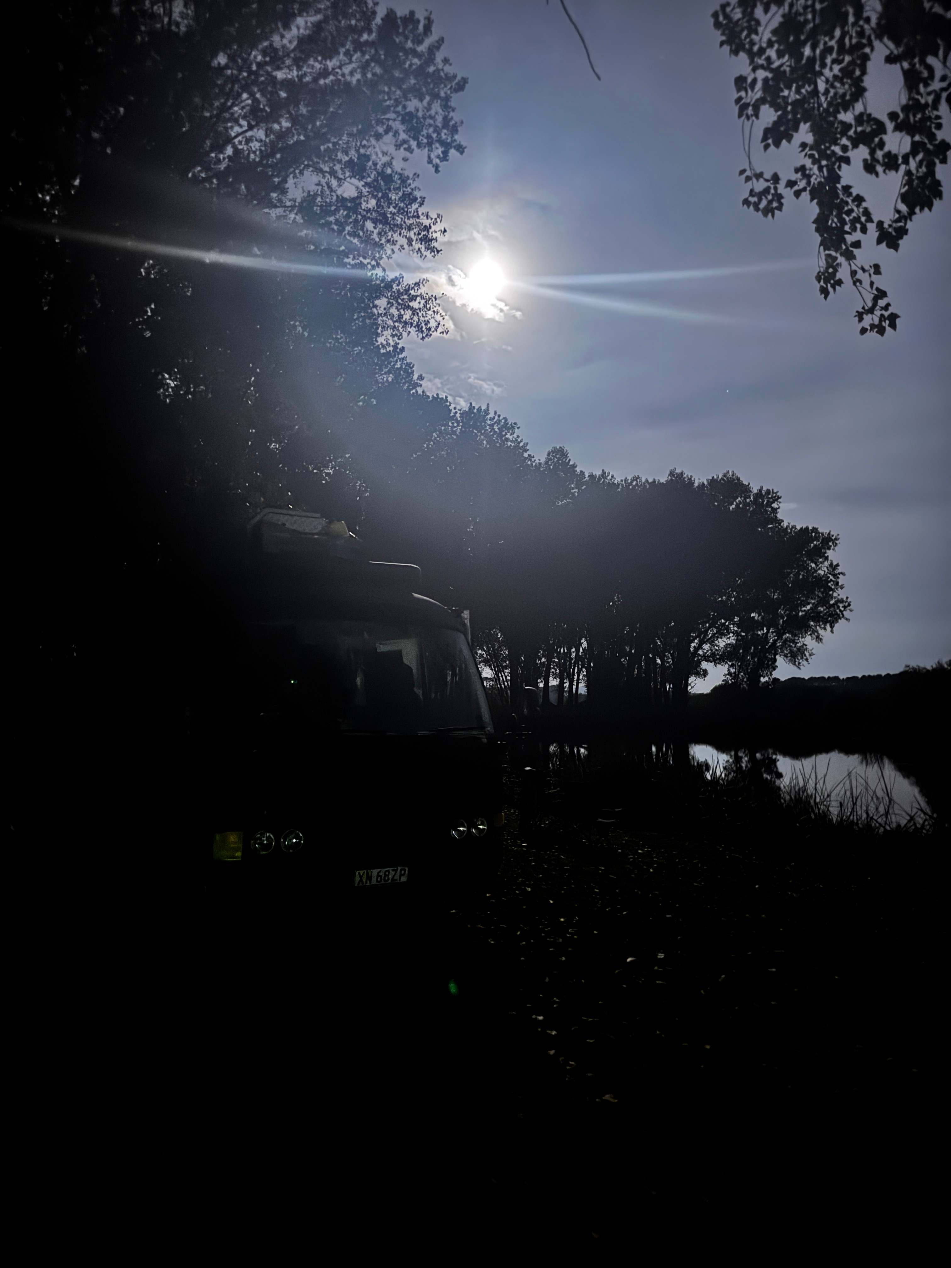 Wings of the Carribee