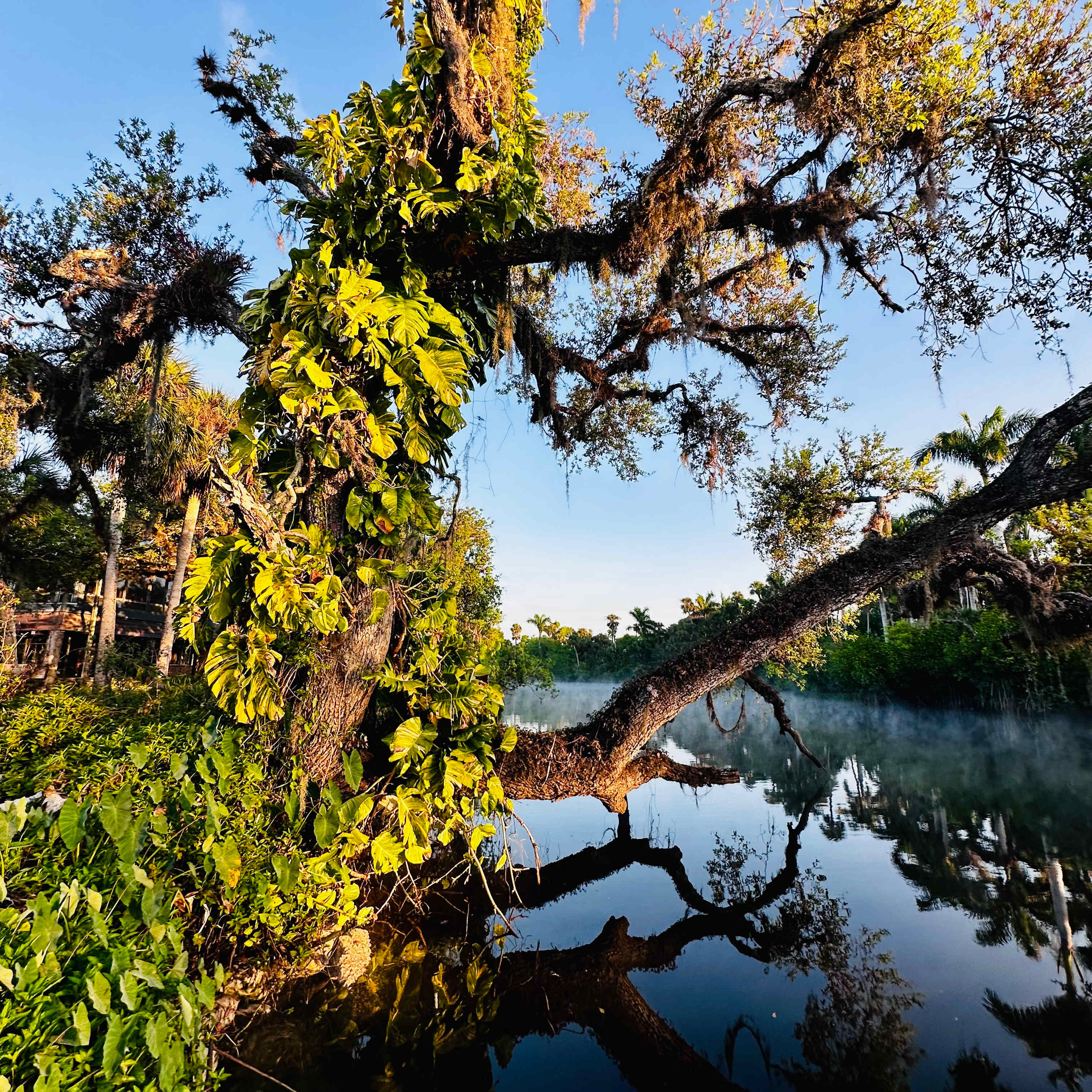 Orange River Getaway