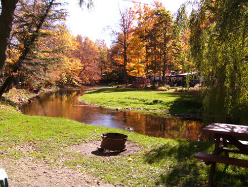 Woodstream Campsite