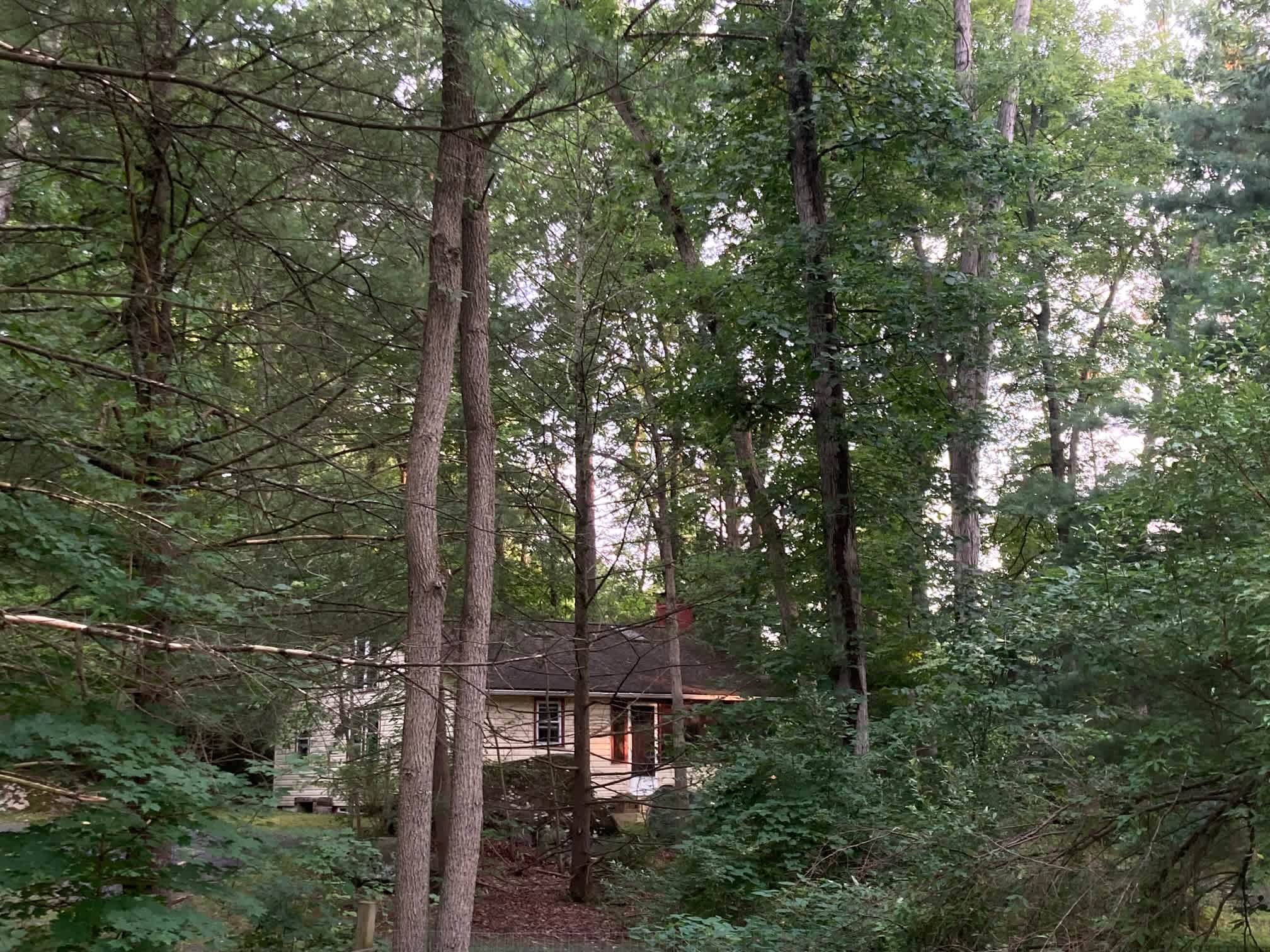 FernRock Retreat