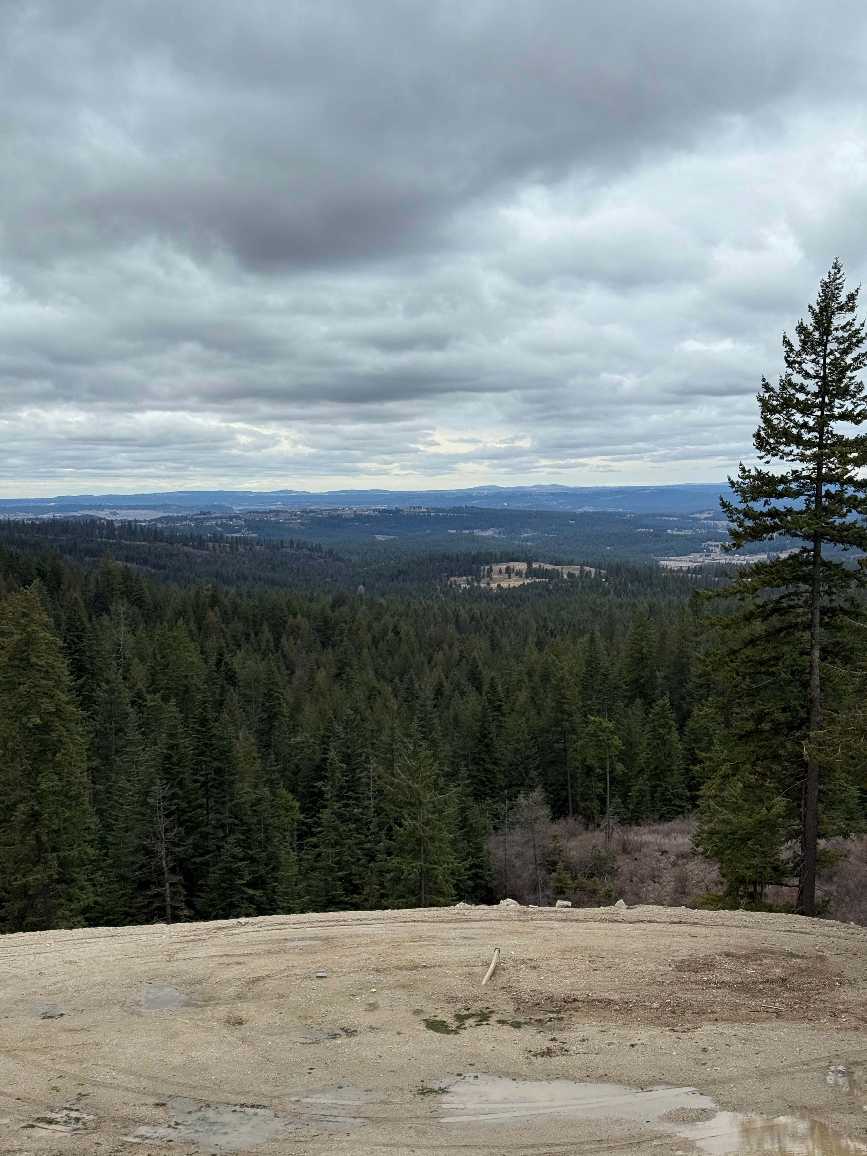 The view area