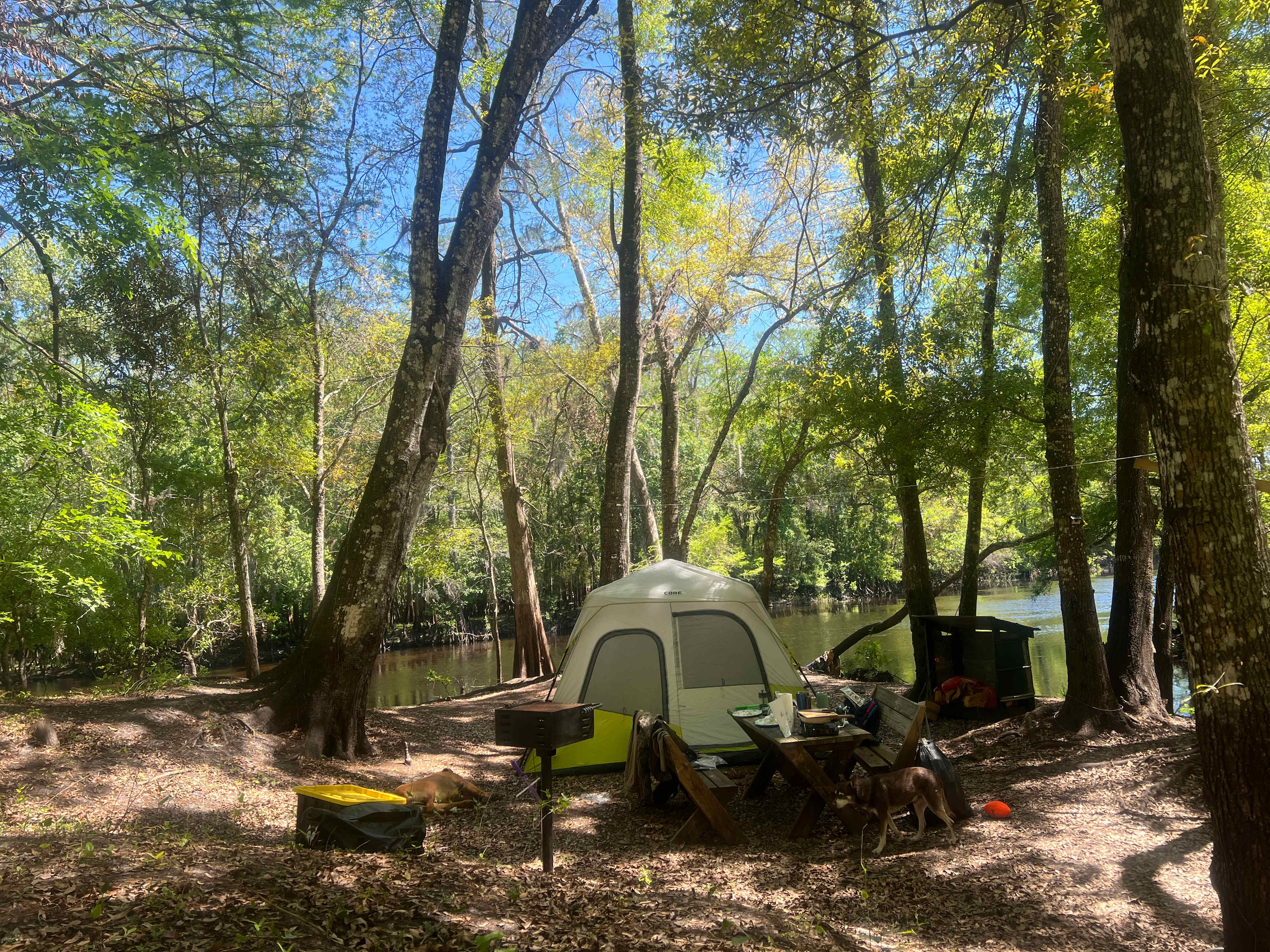 Primitive Island on Withlacoochee
