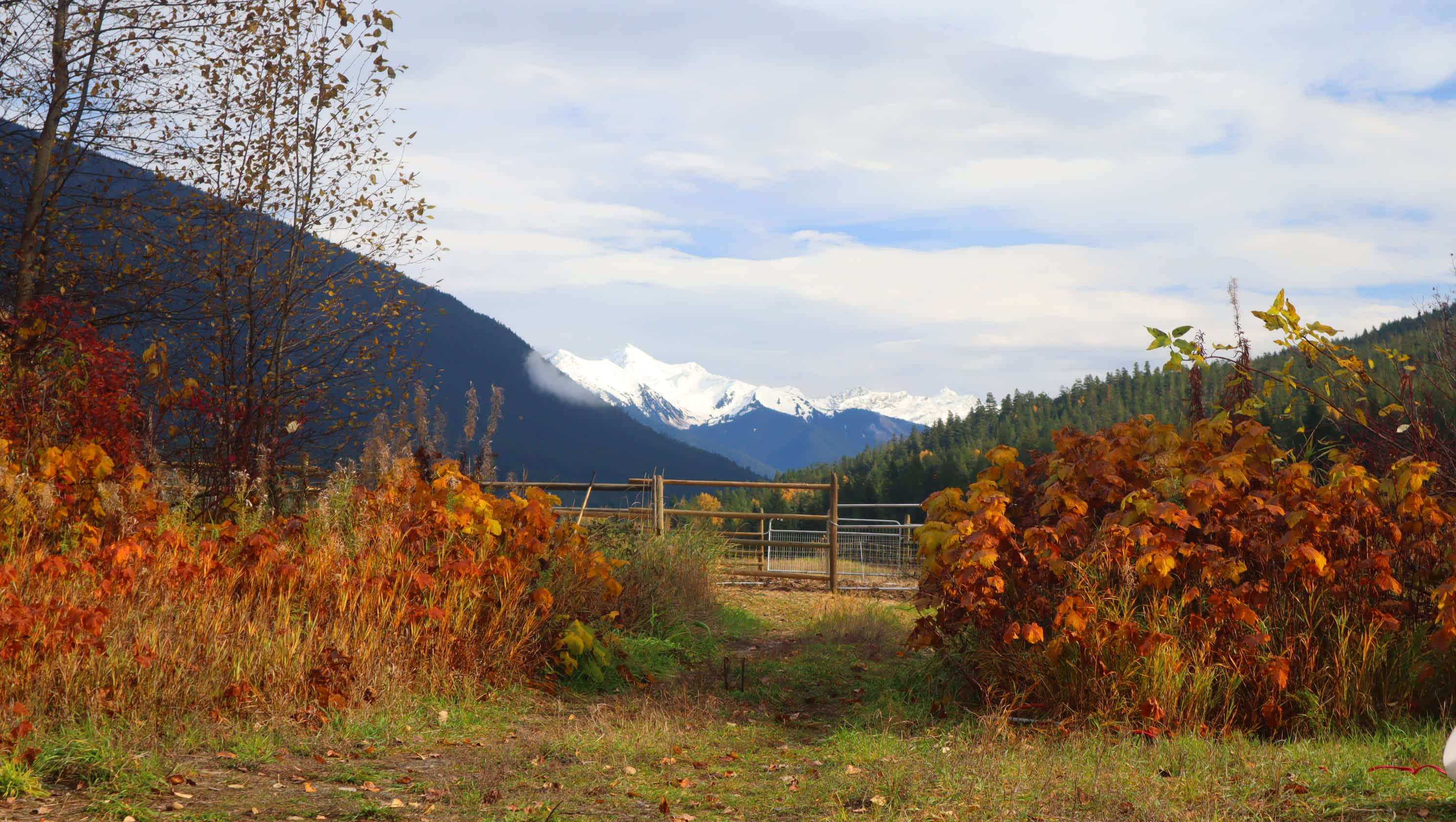 Wild Farm with Mountain Views