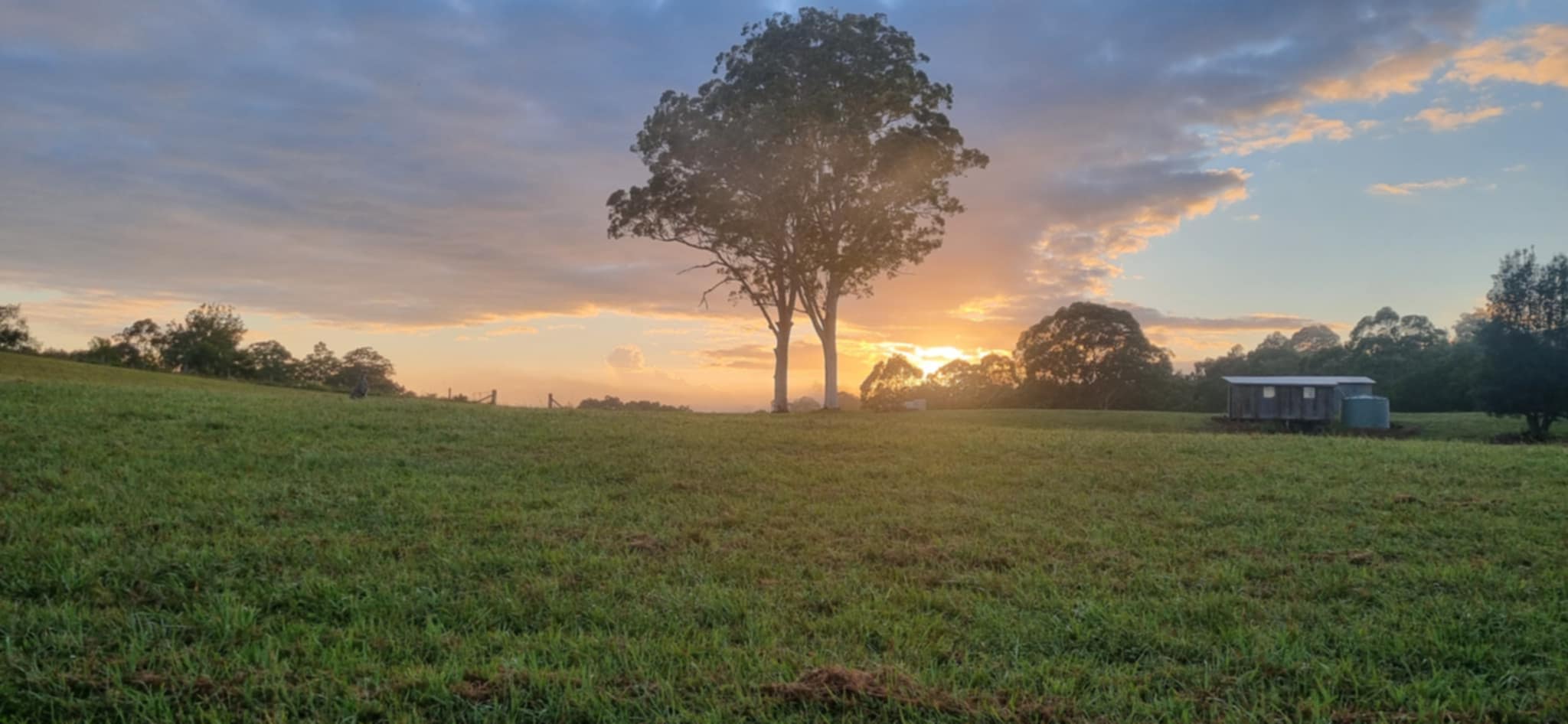 Homeville Camping and Farm Stay