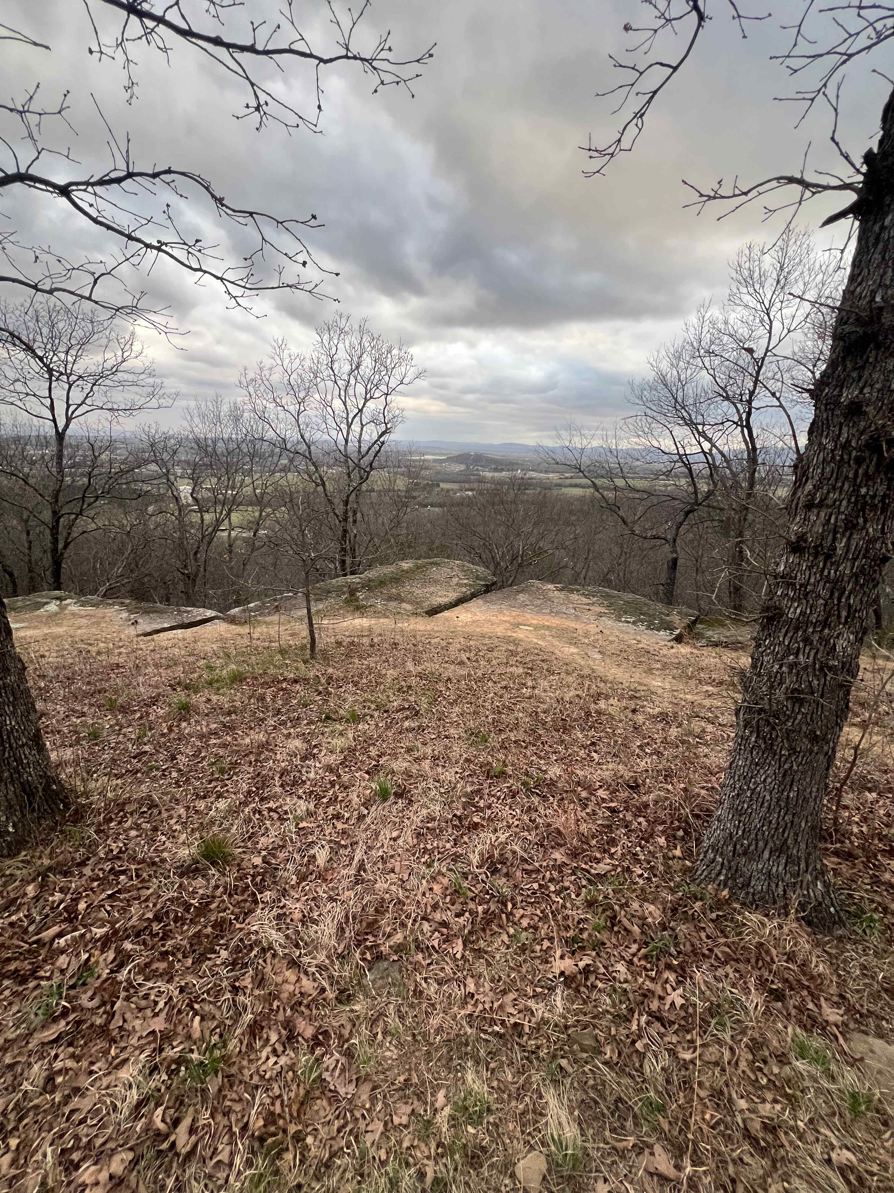 View from #2