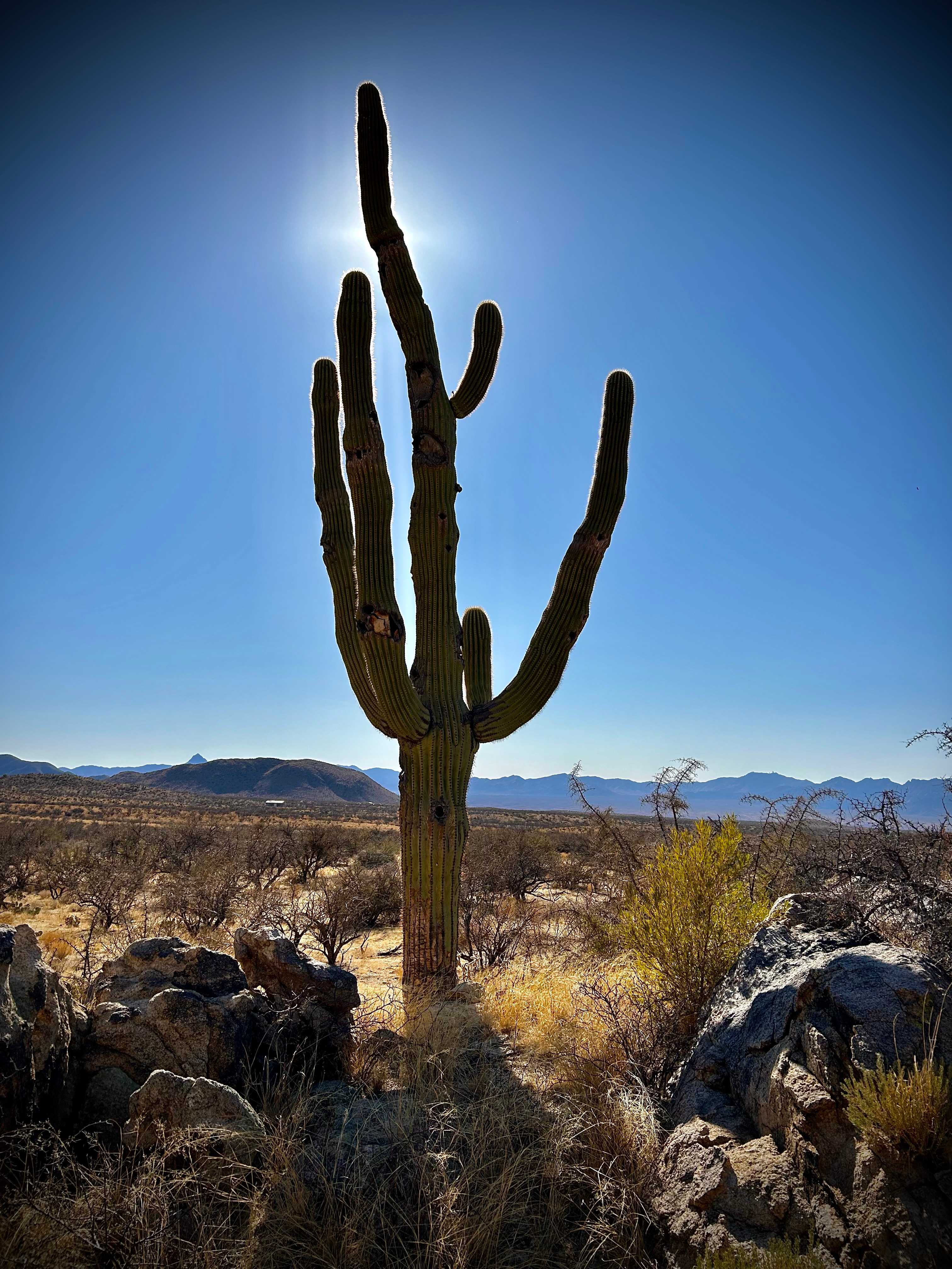 Epic Private 300 Acre Saguaro Park