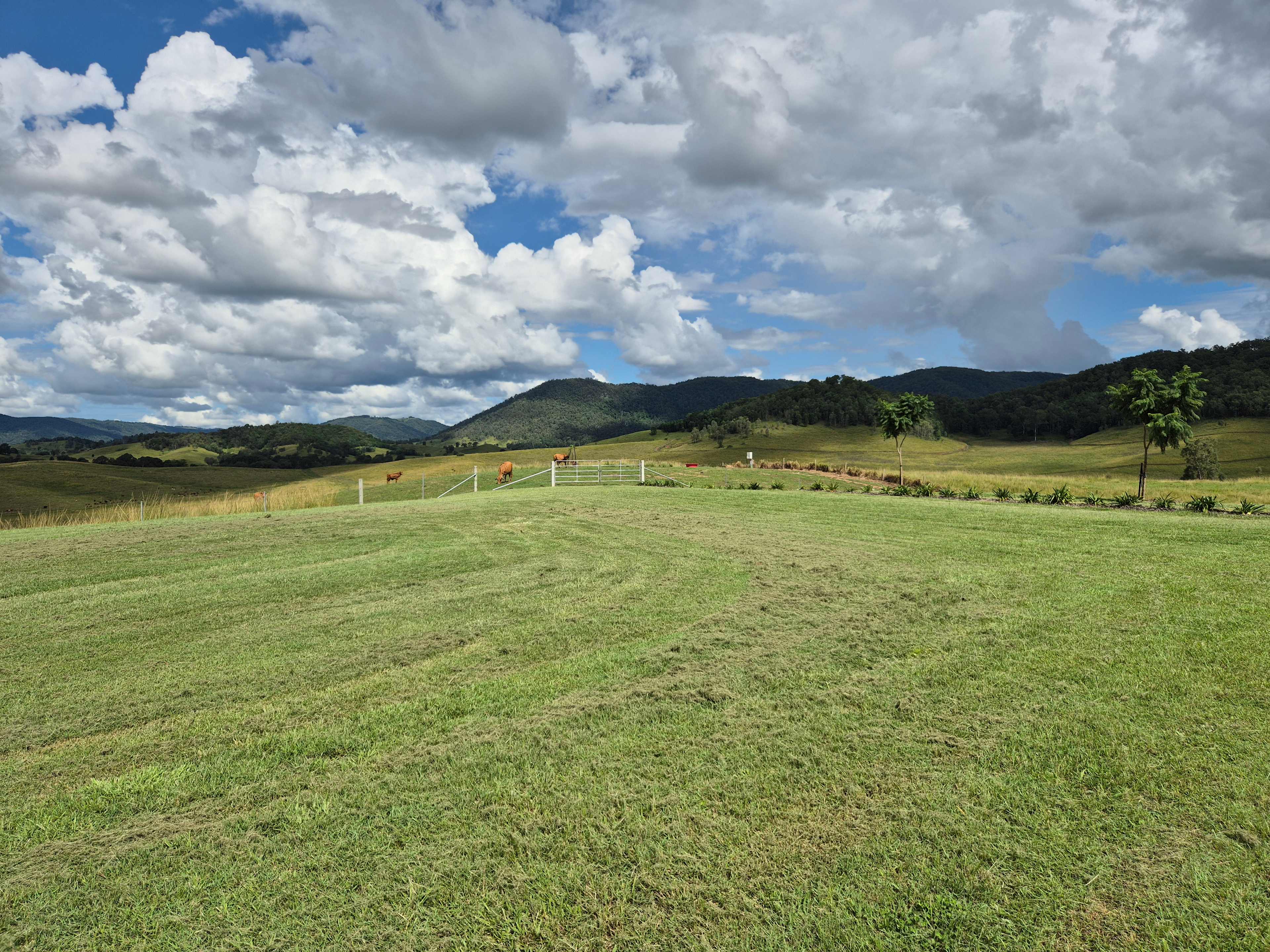 100 Acre Estate
