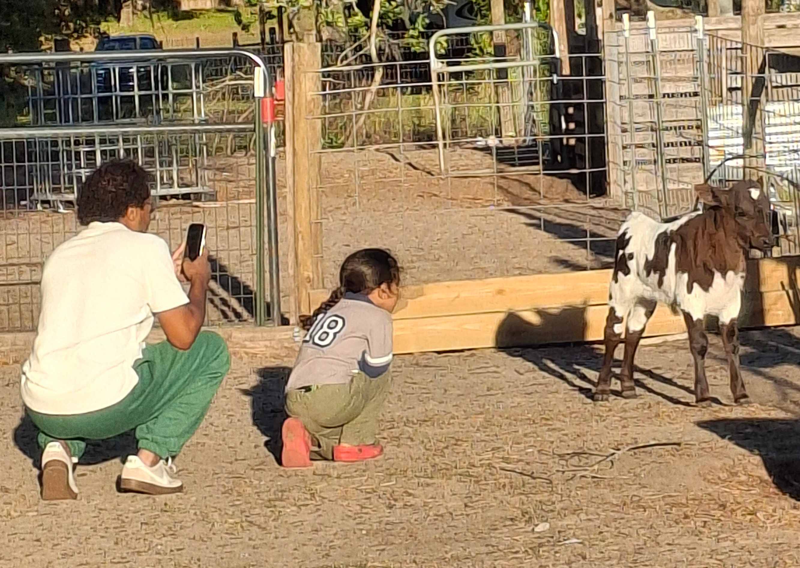 Florida Farm School & Animal Rescue