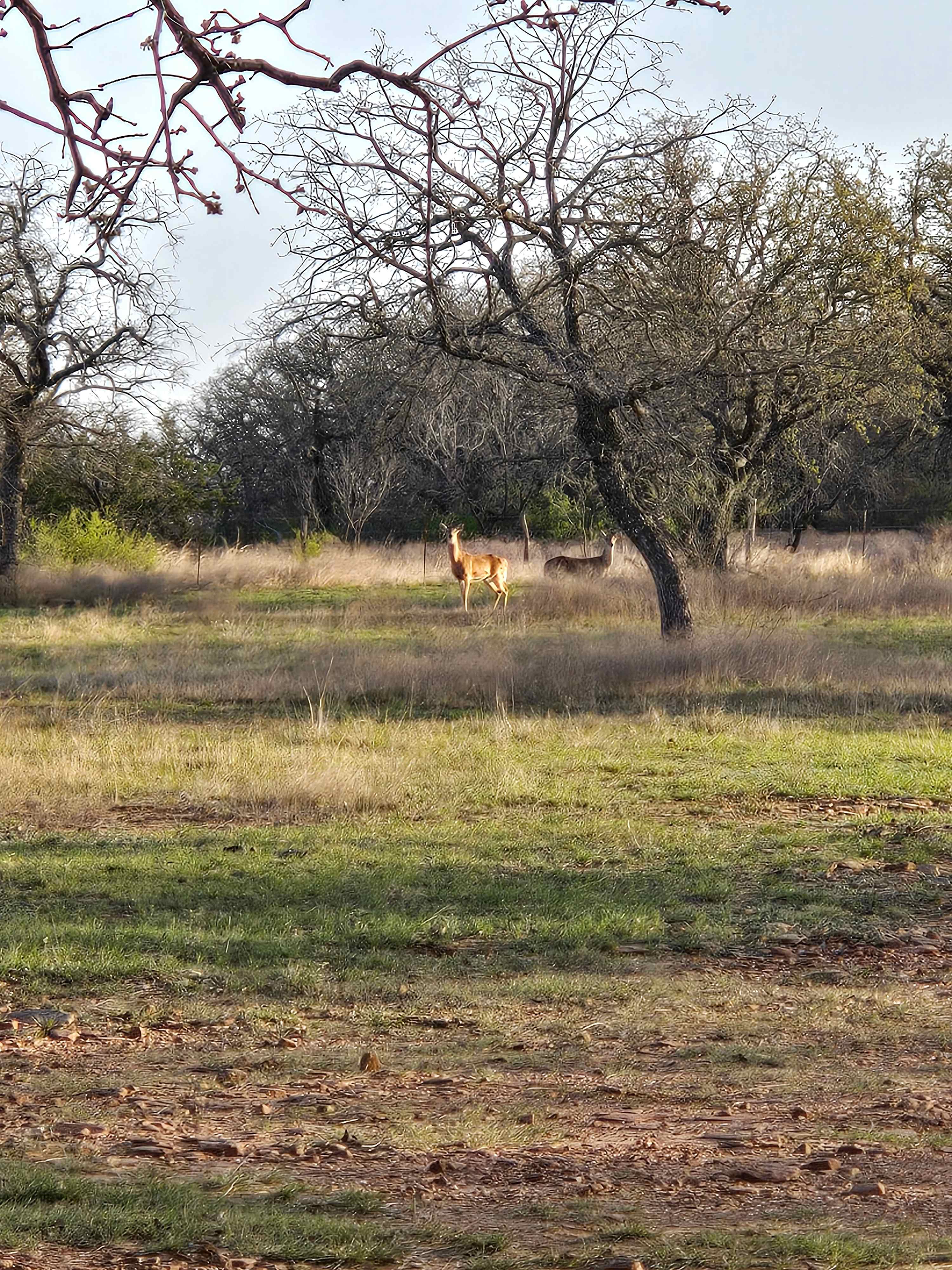 JH Ranch-Haggard Lake