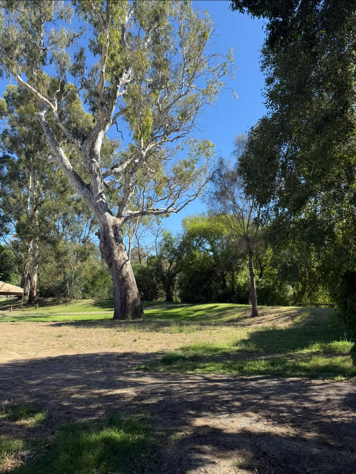 Riverside Goulburn River
