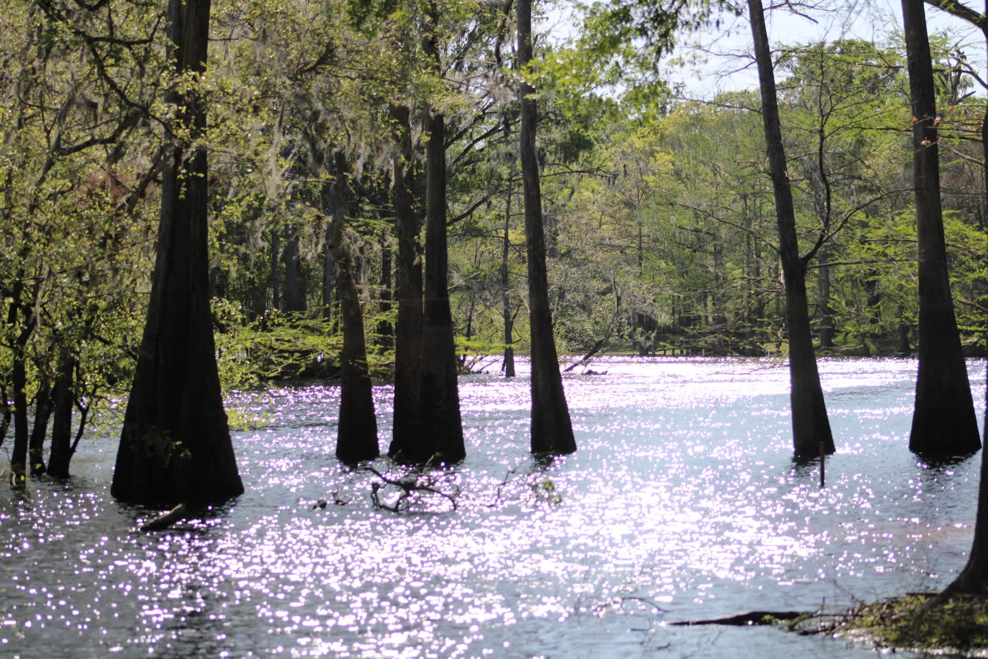 Riverfront Santa Fe / Ichetucknee