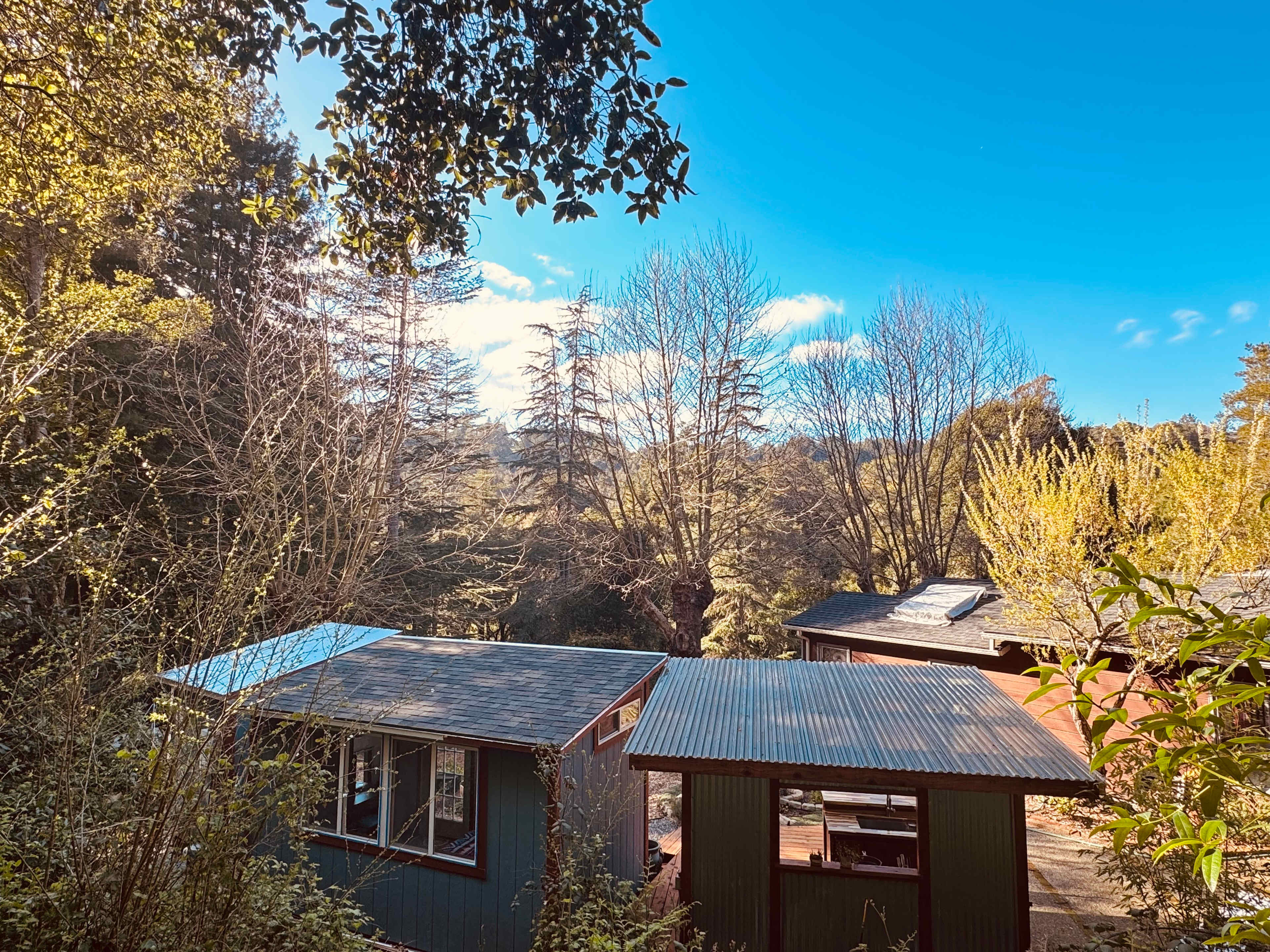 View from behind the Haven and main house proximity 