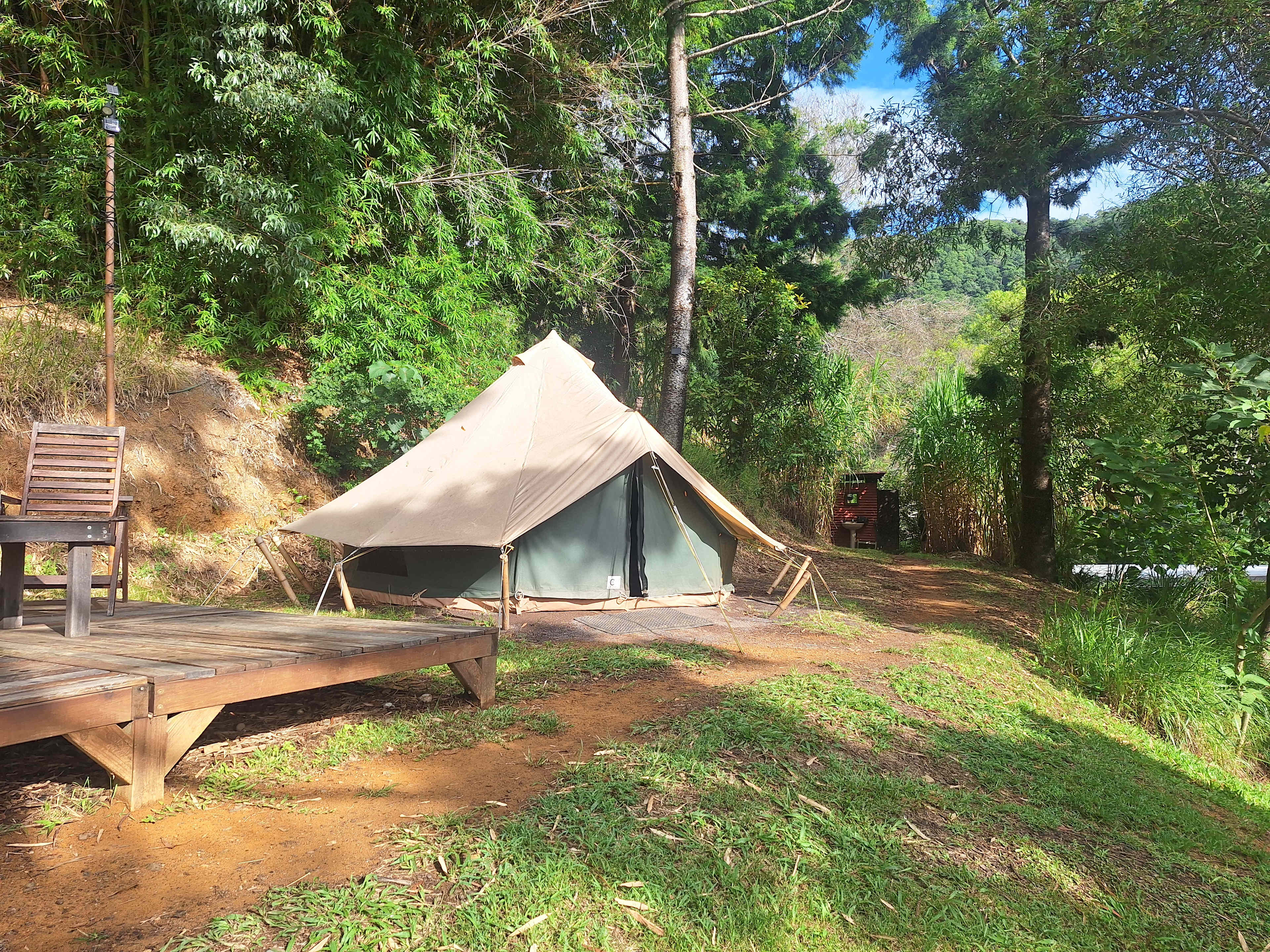 A Tent in The Forest
