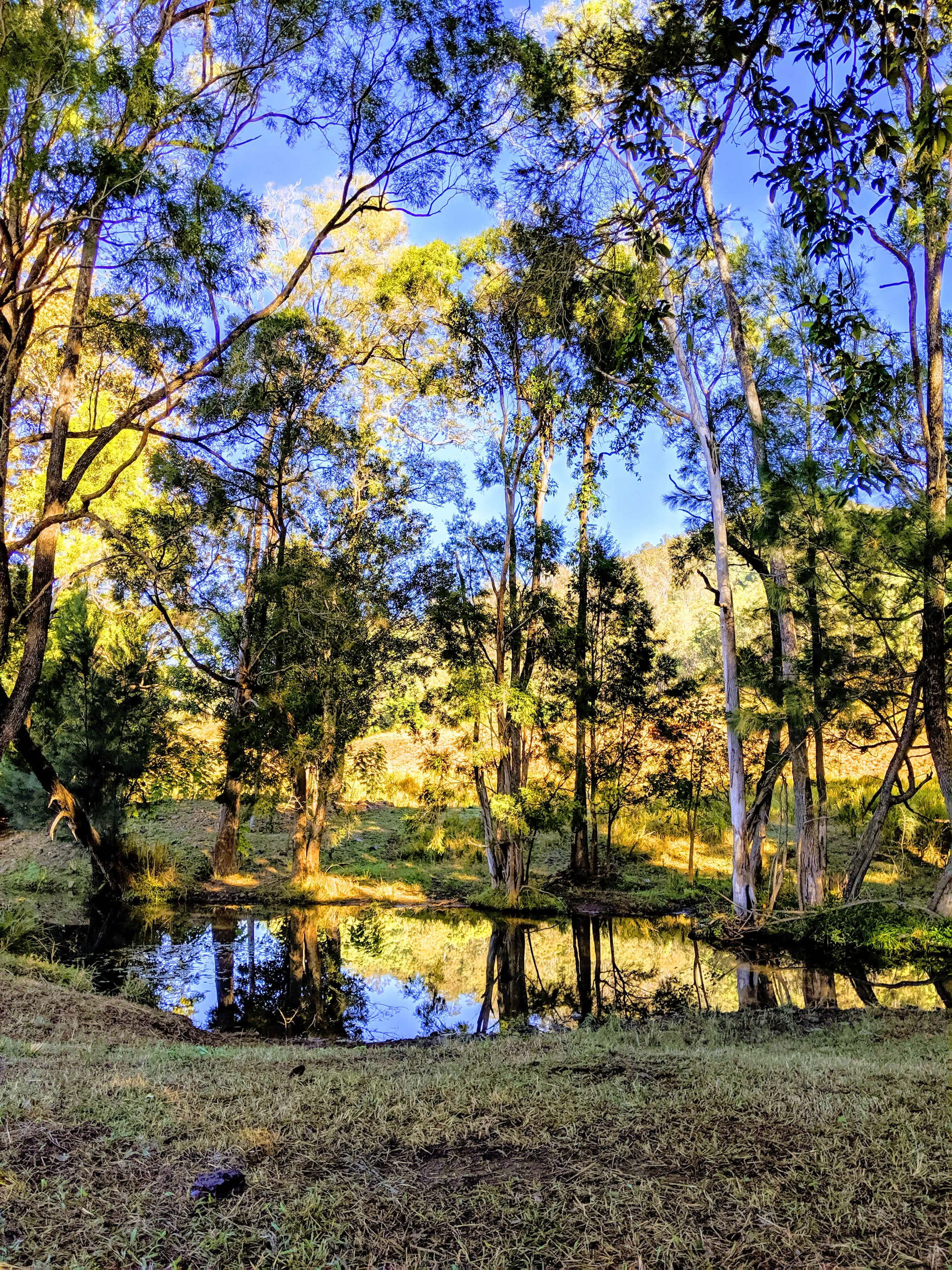 100 Acre Estate