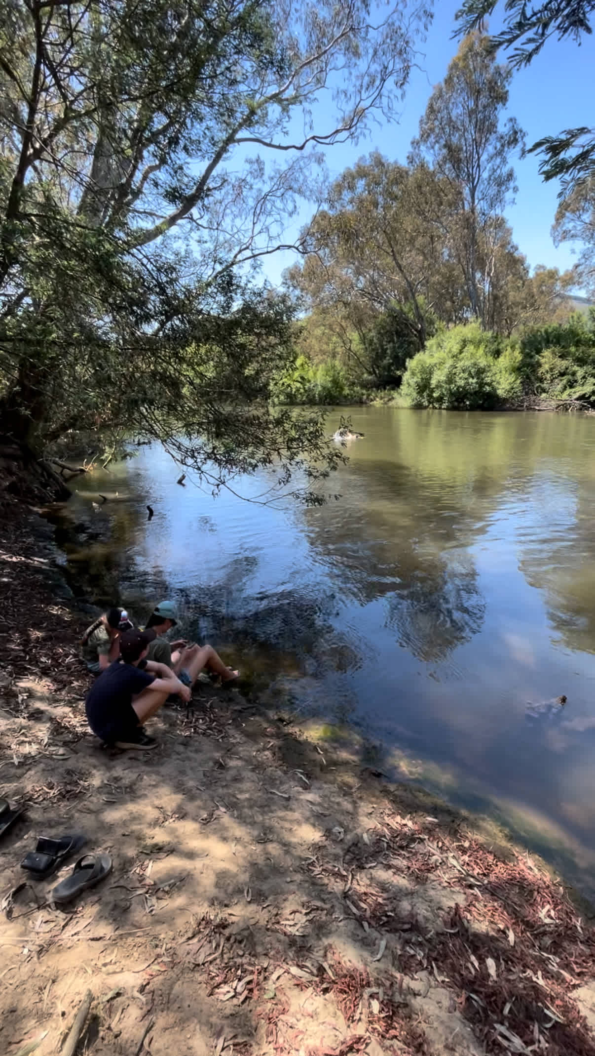 Riverside Goulburn River