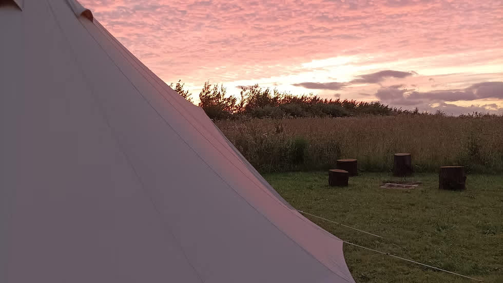The Mushroom Farm Campsite