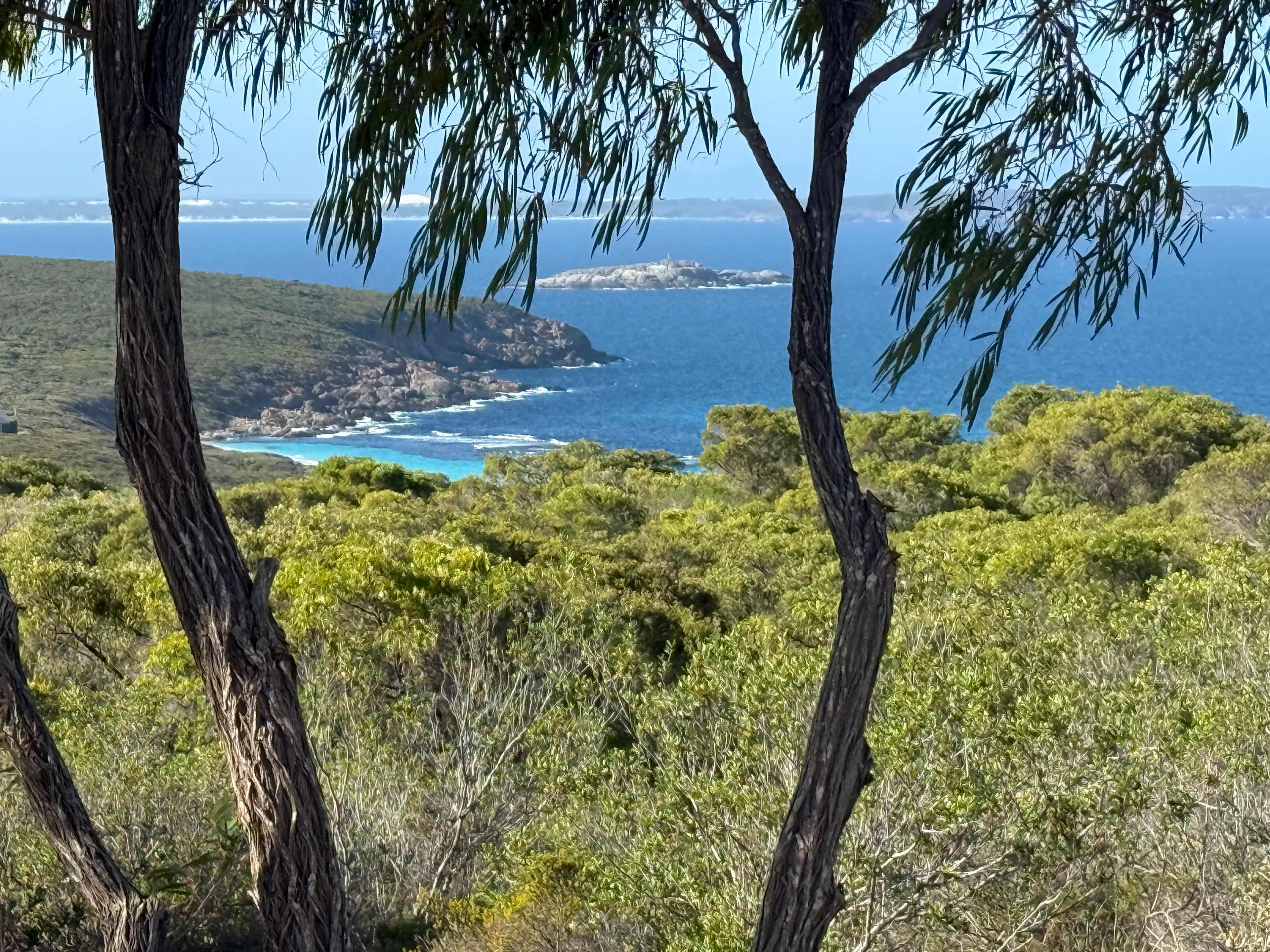 The Salt Cove Camp