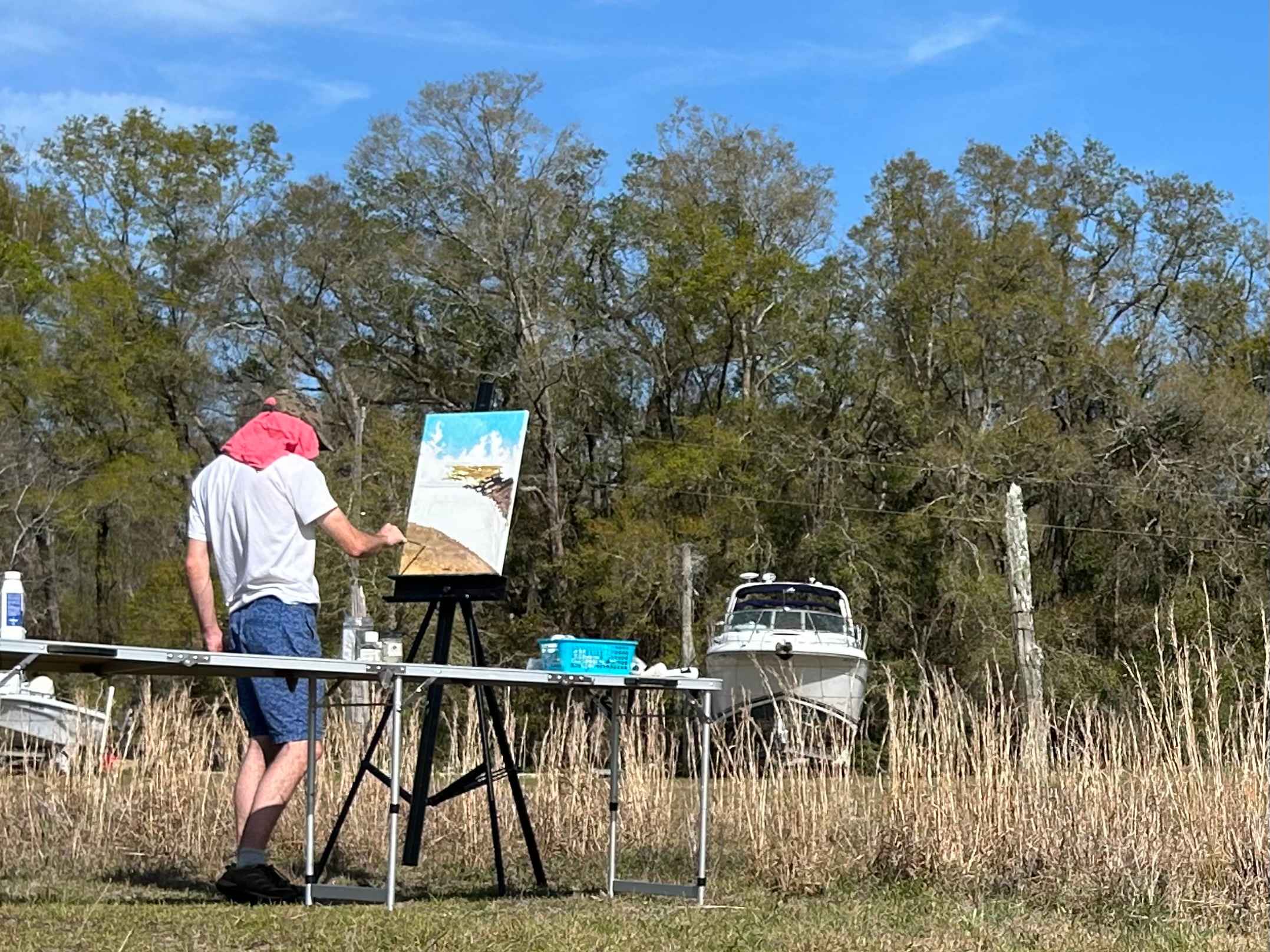 Caceres Organic Blueberry Farms