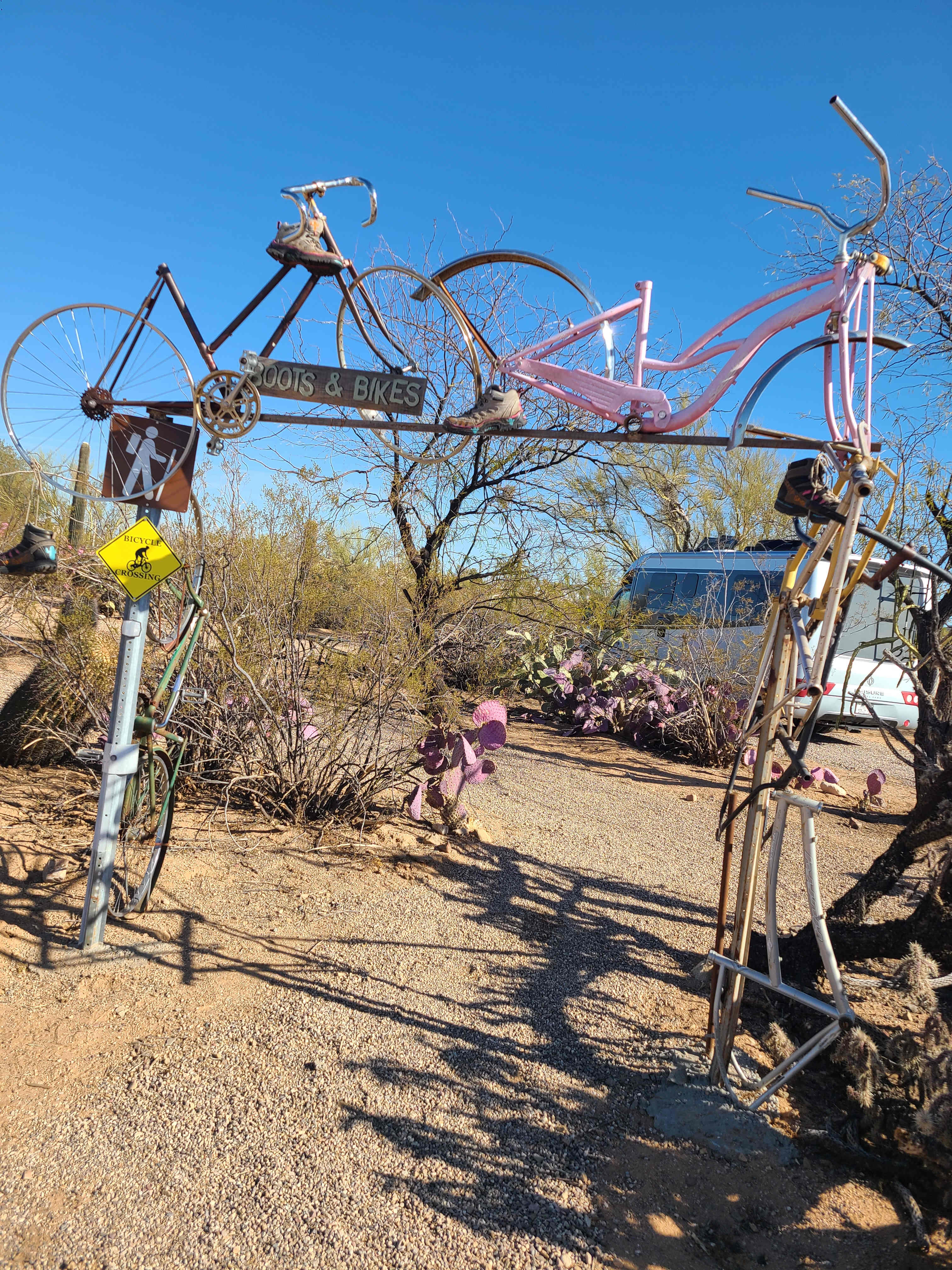 Camp Saguaro