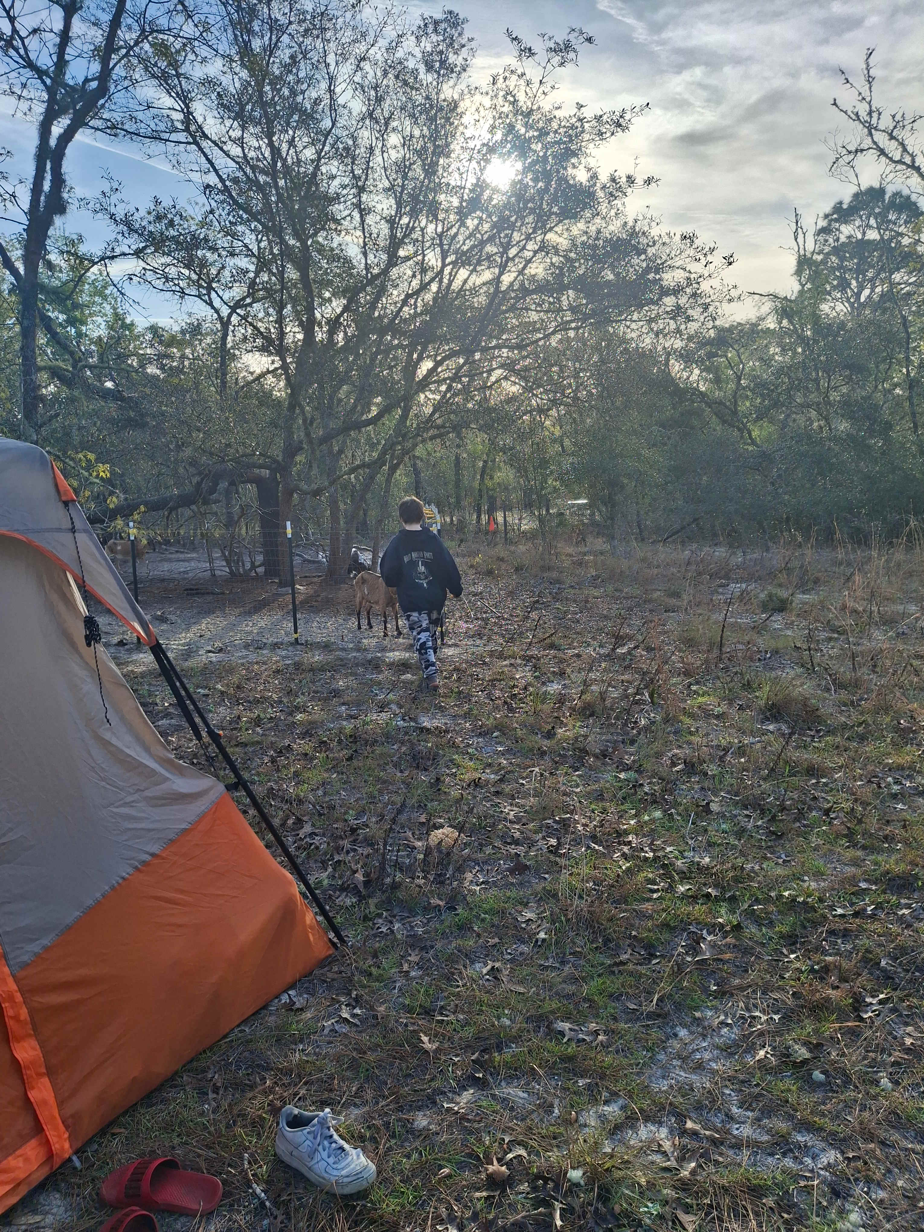 Happy Campers Rescue Ranch