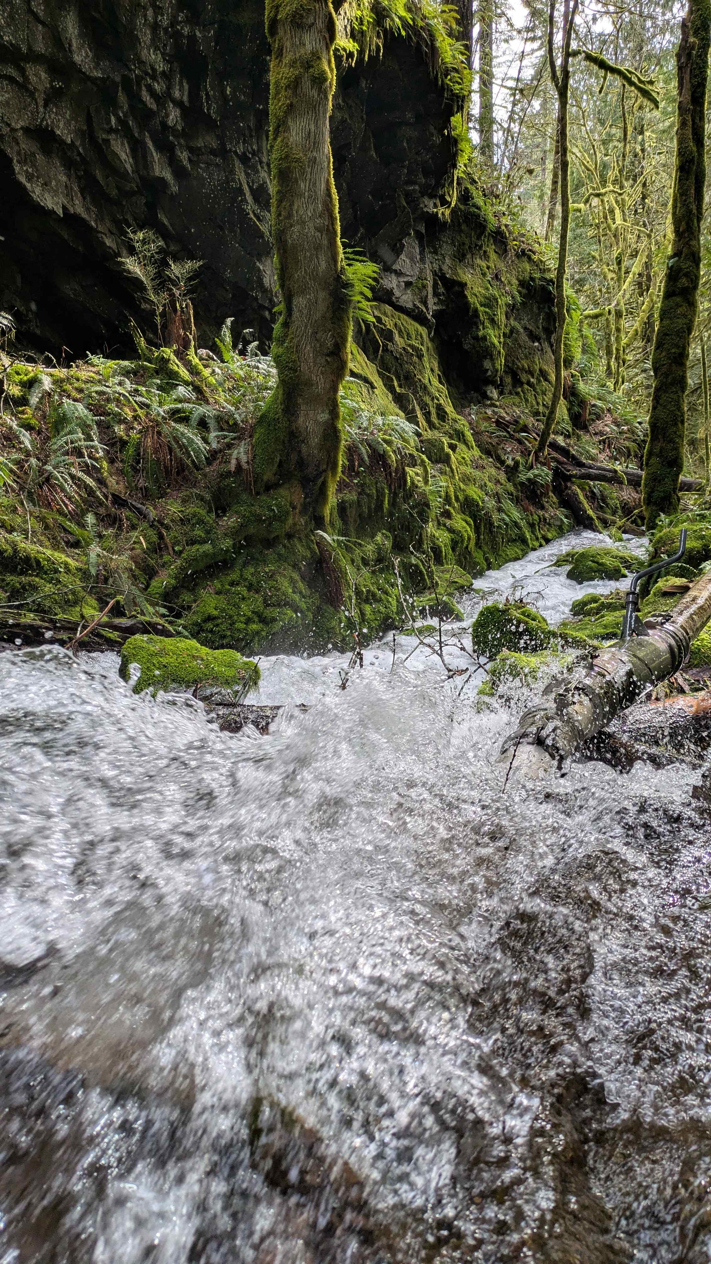 Sacred Falls Sanctuary