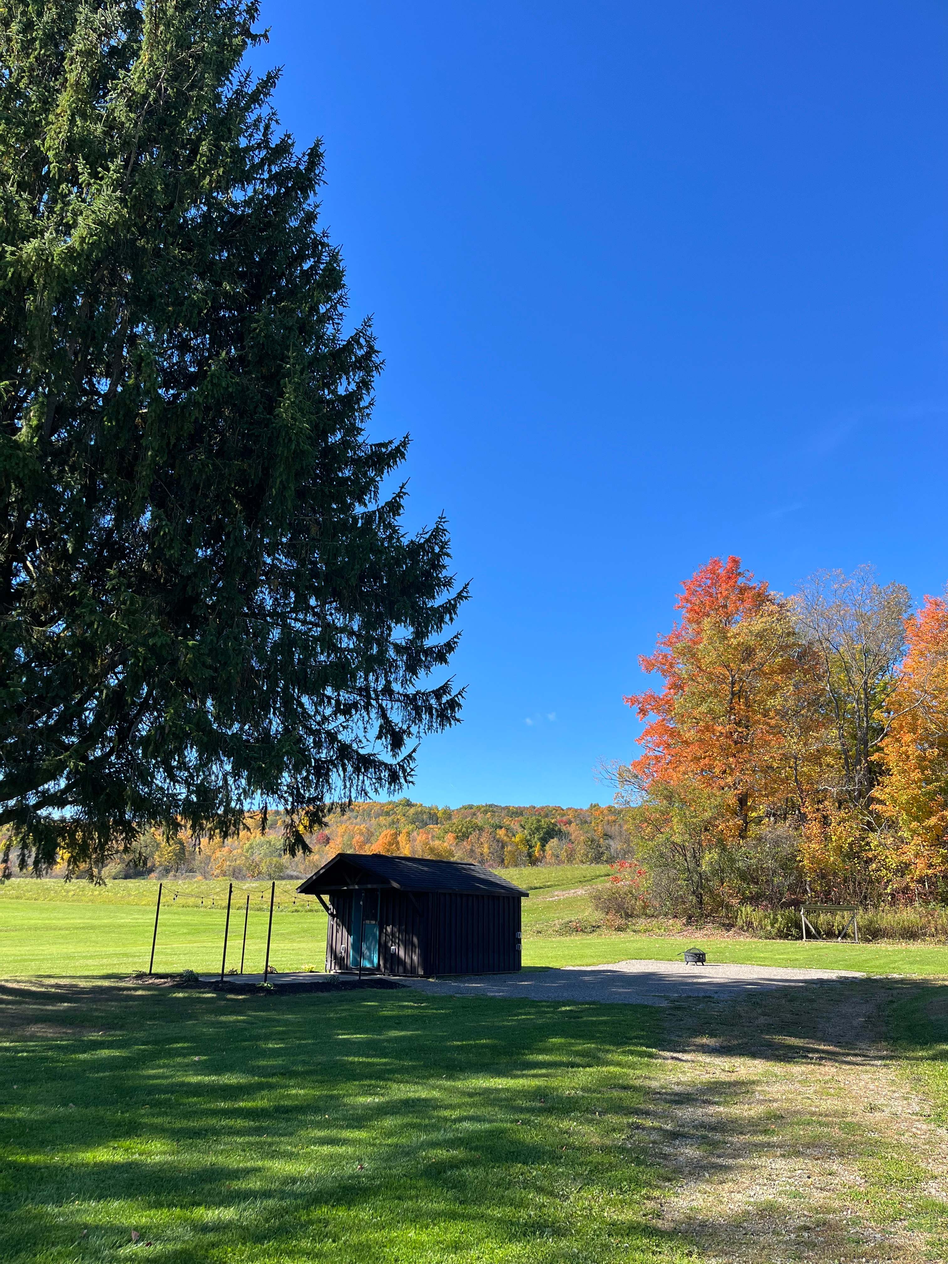 Sage Hollow