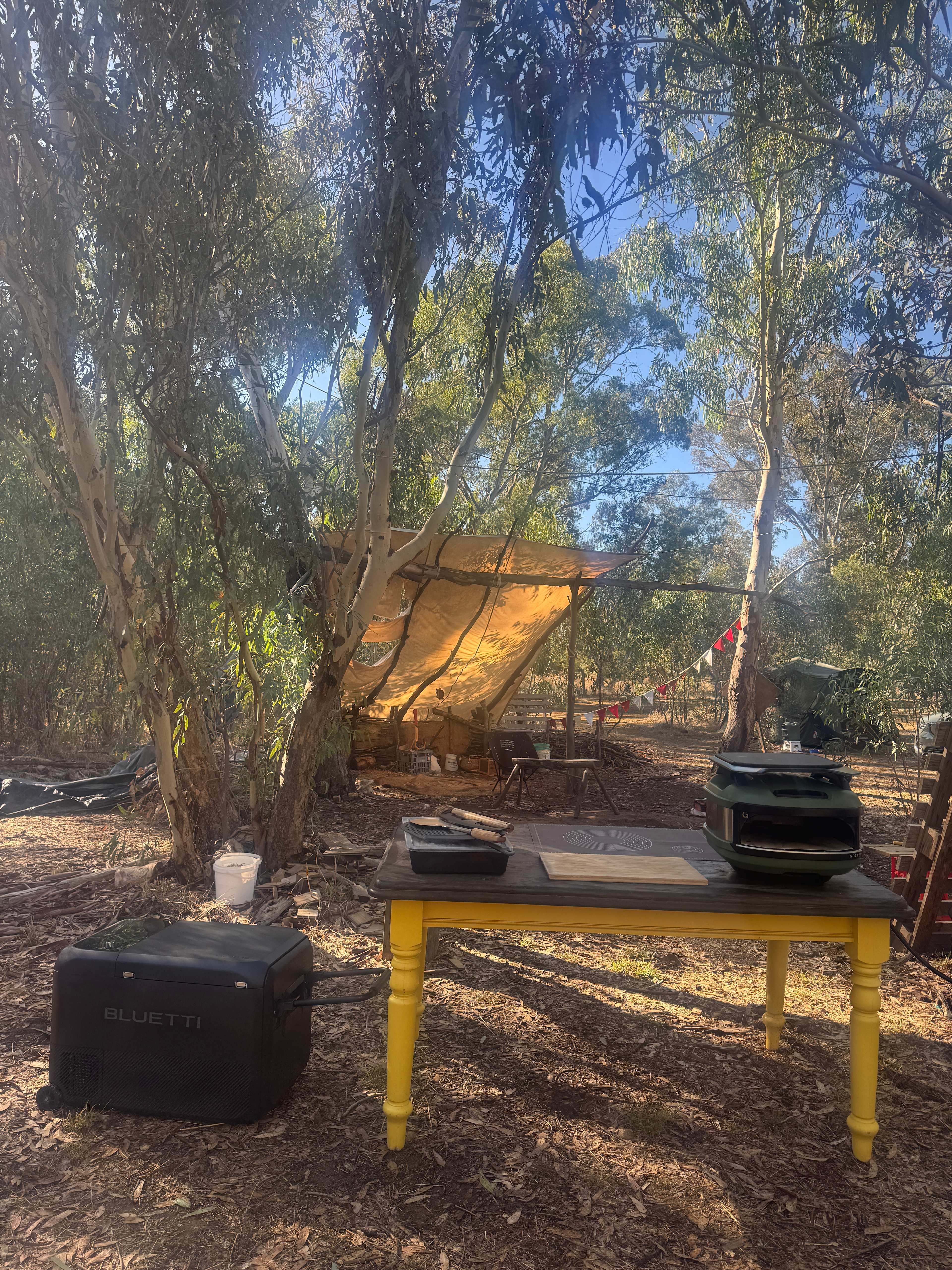 Peaceful Paddock - Castlemaine