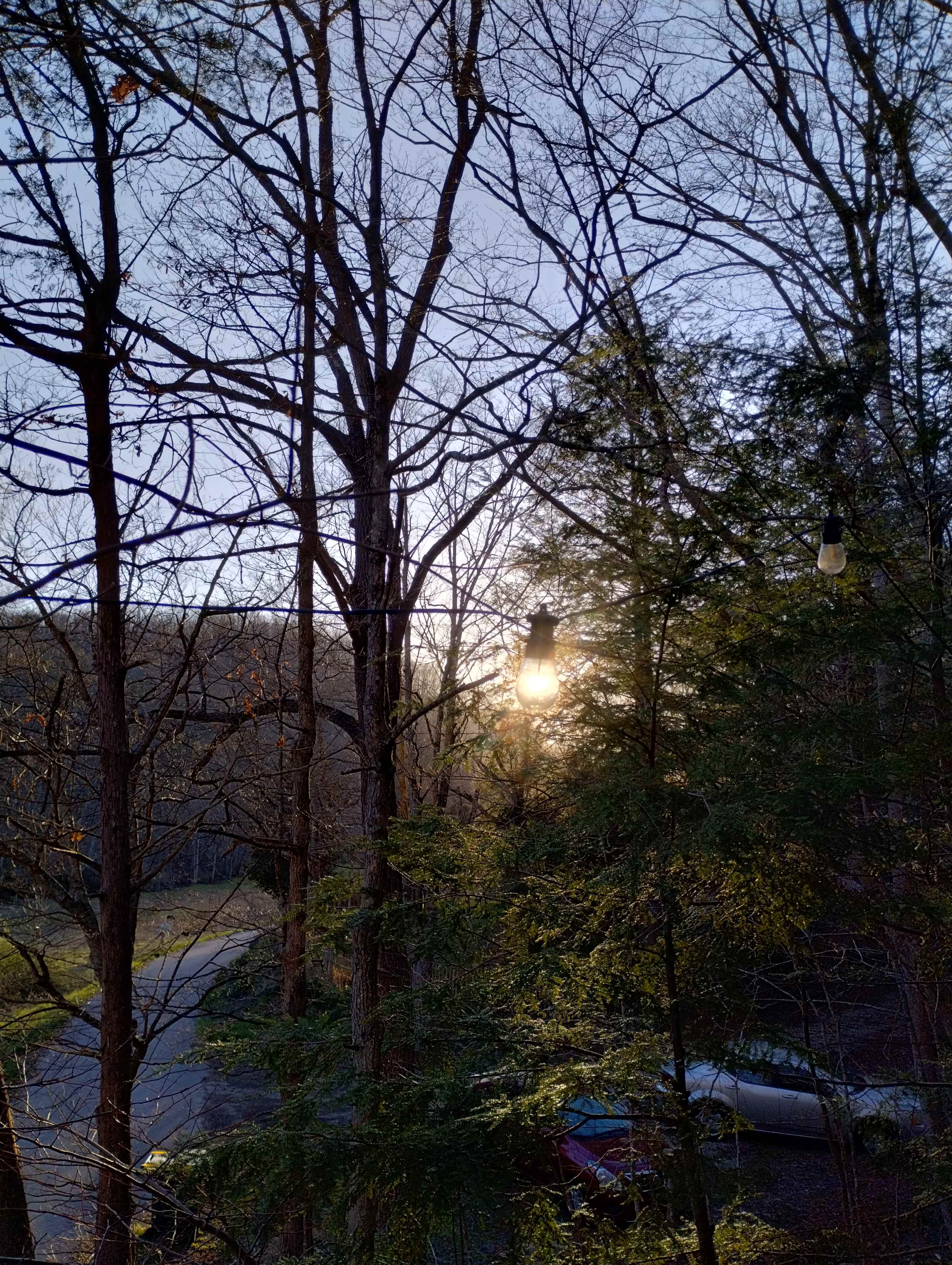 Caught the sun through one of the bulbs 