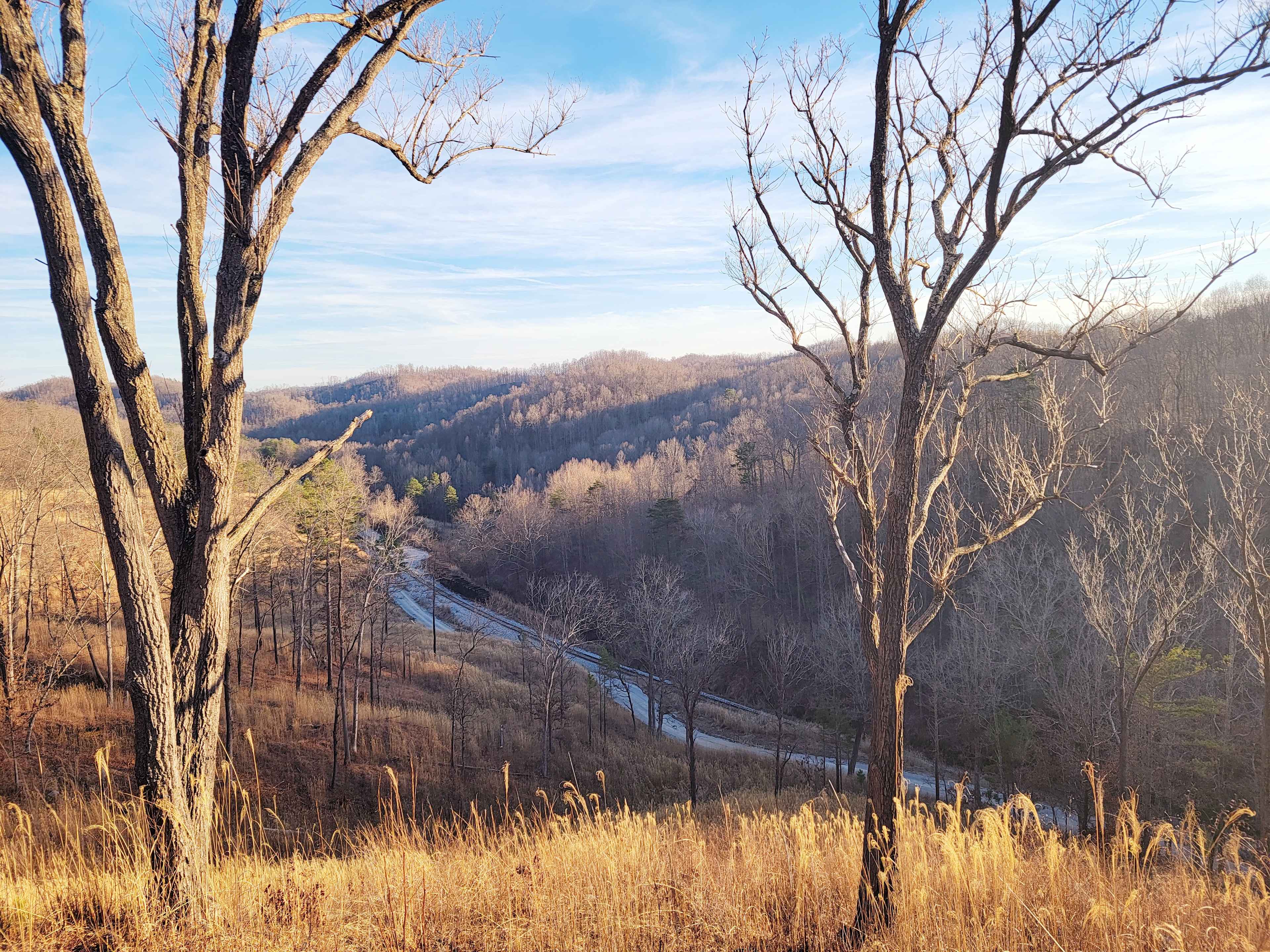 A peek at the landscape views from the High Hollow site