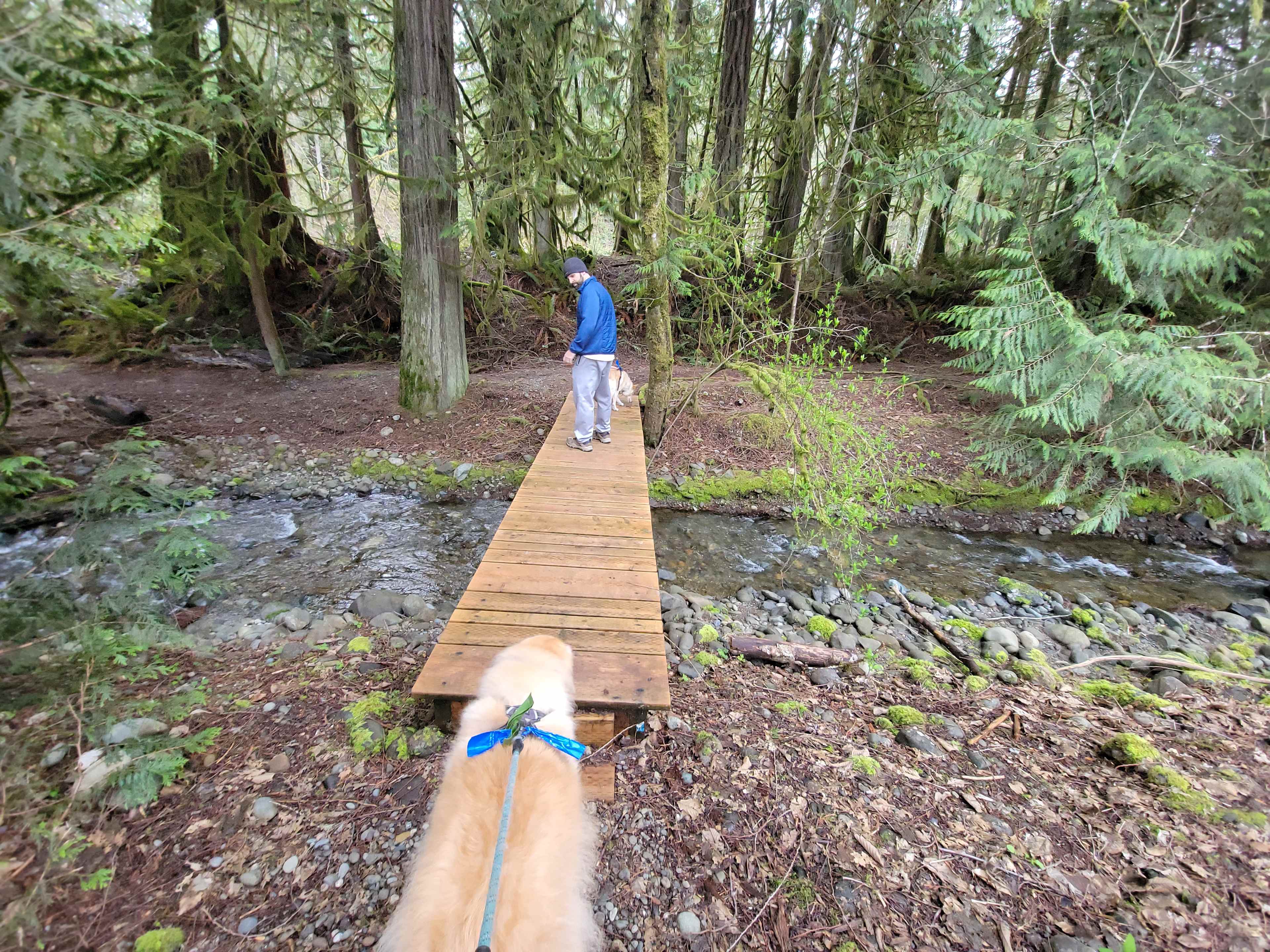 The Glen - Olympic Peninsula RV