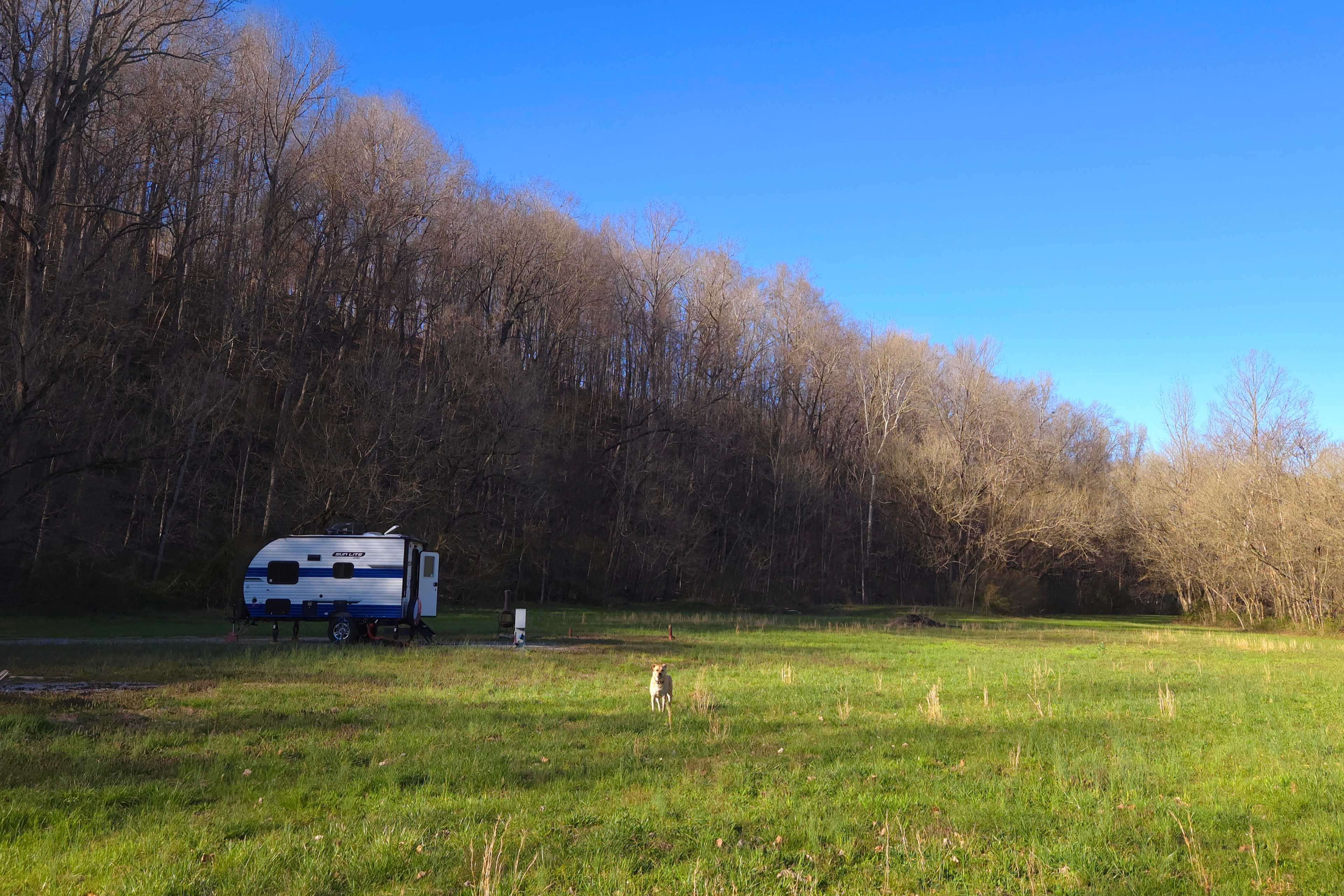 Picture of the site