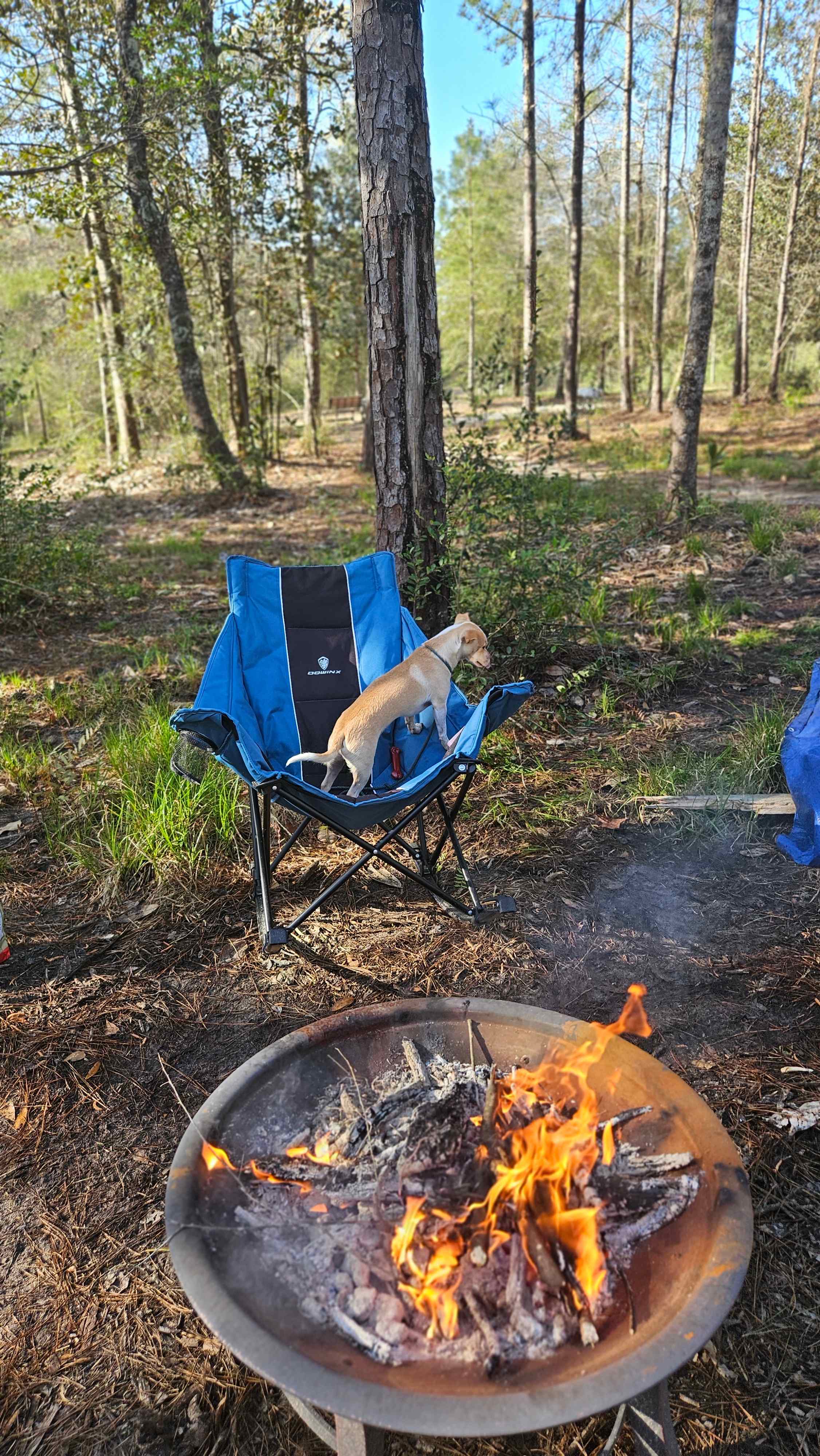 THRIVE family camp and RV
