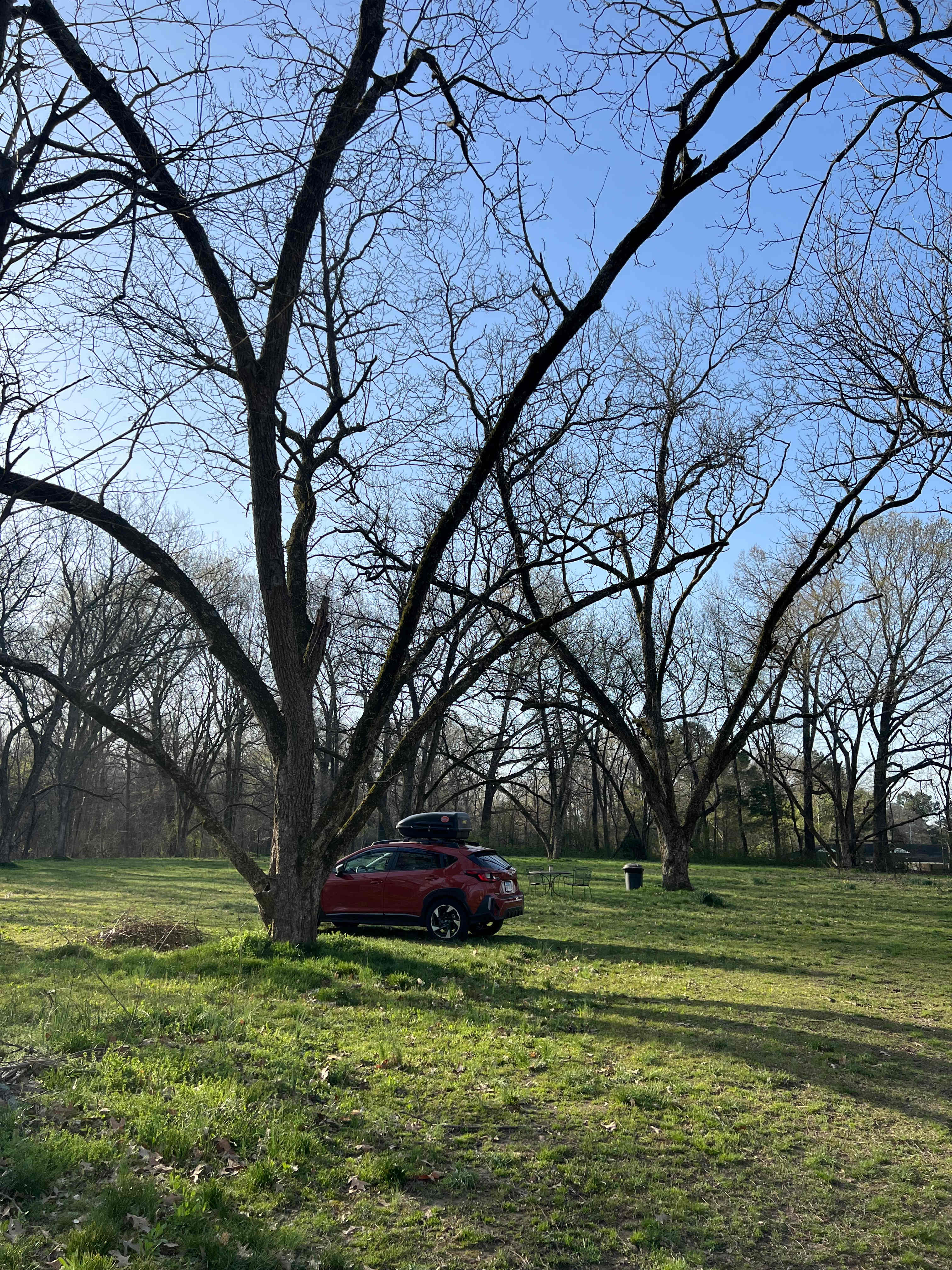 Pecan Grove Parking