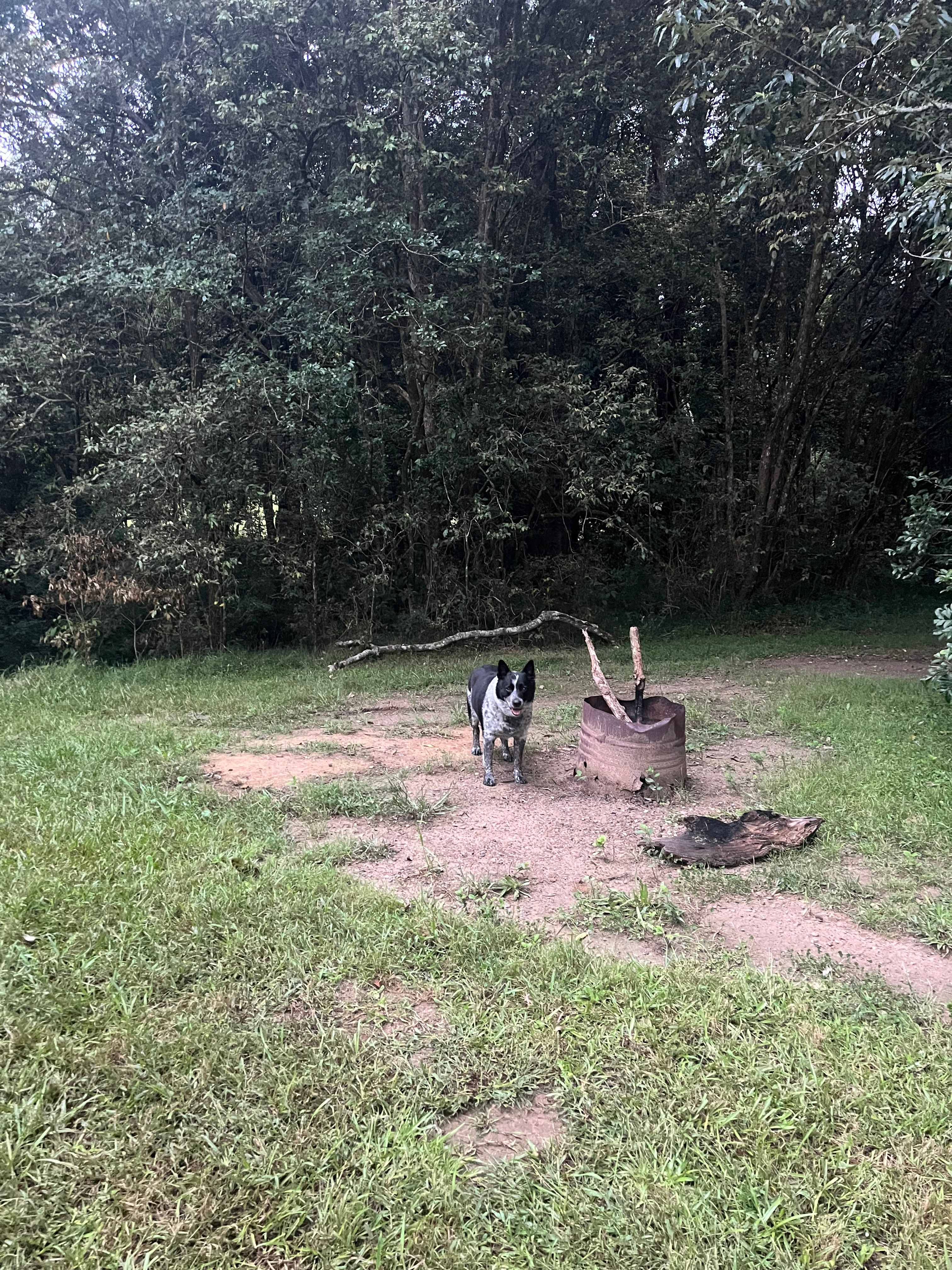 Tucker’s rest