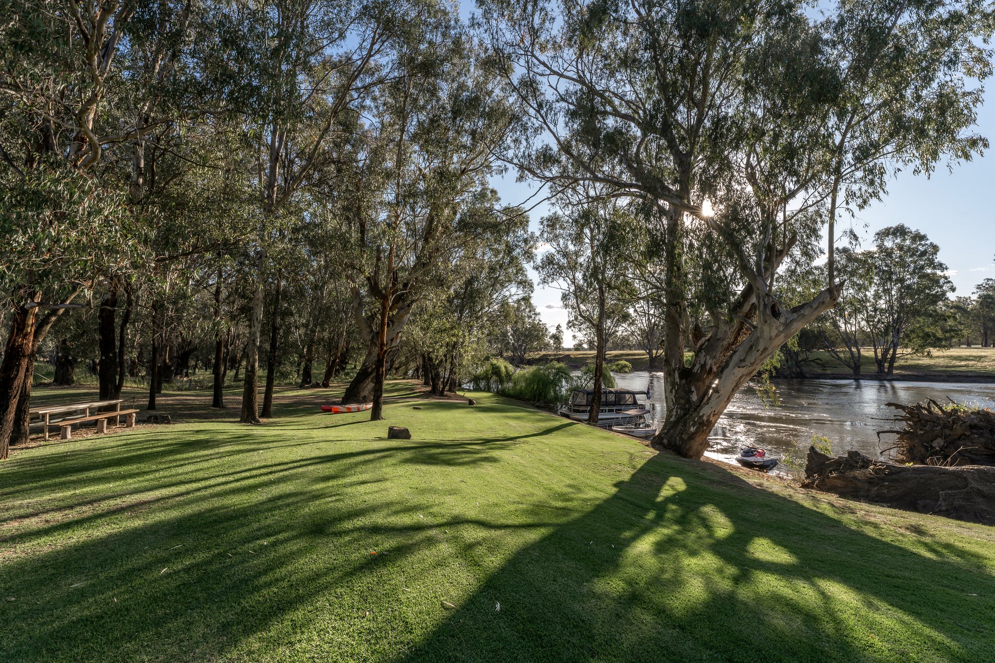 Palm Cove On The Murrumbidgee