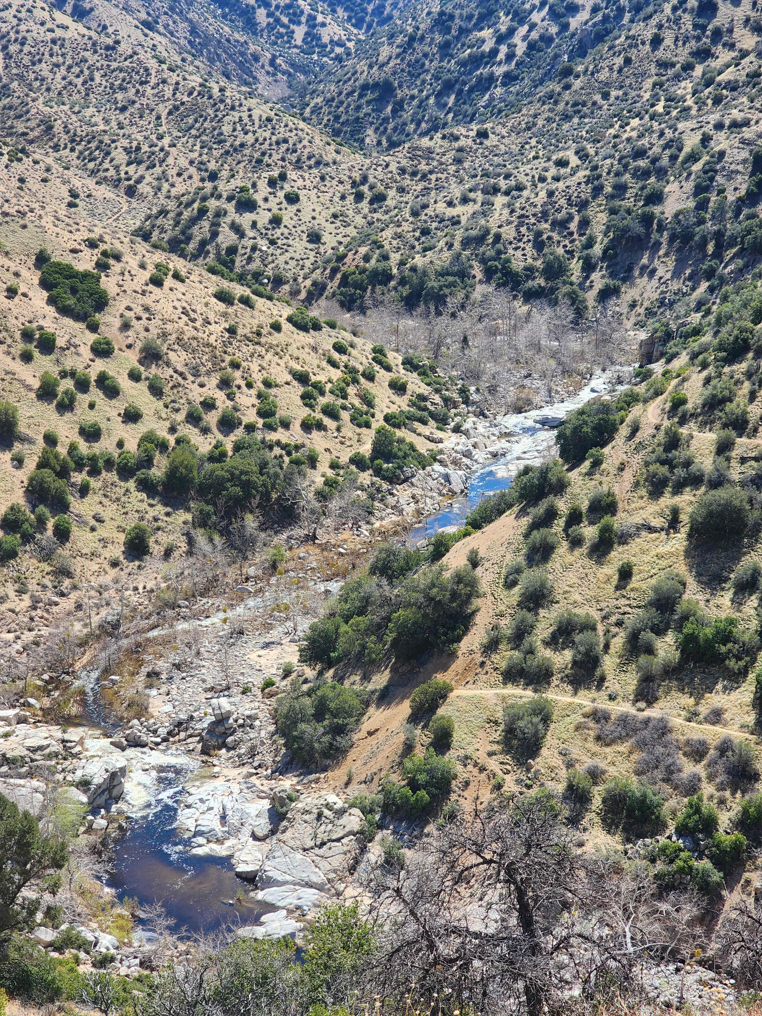 Deep creek trail hike to the hot springs. Bring WATER
