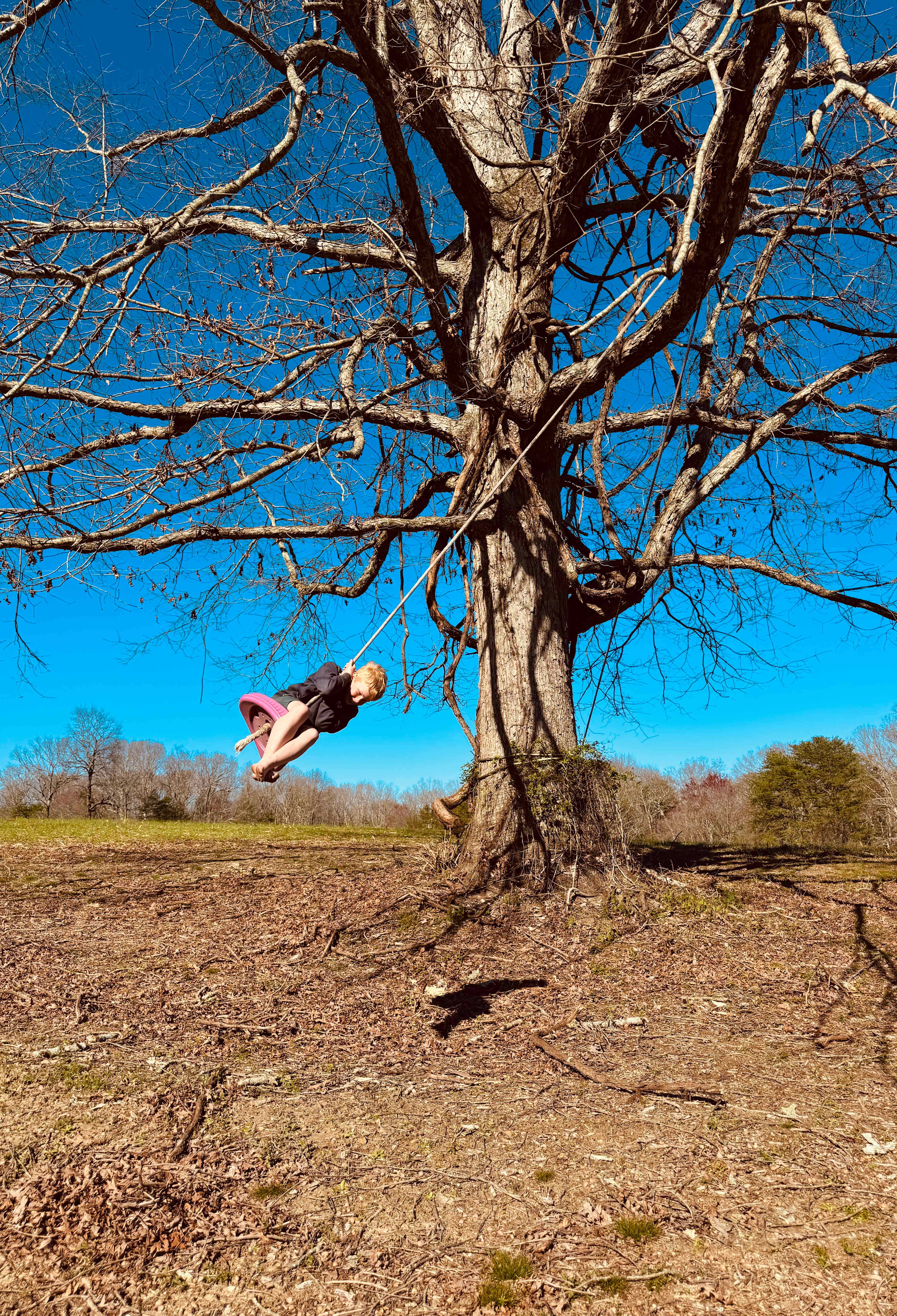 Woodybrooke Farm Campground