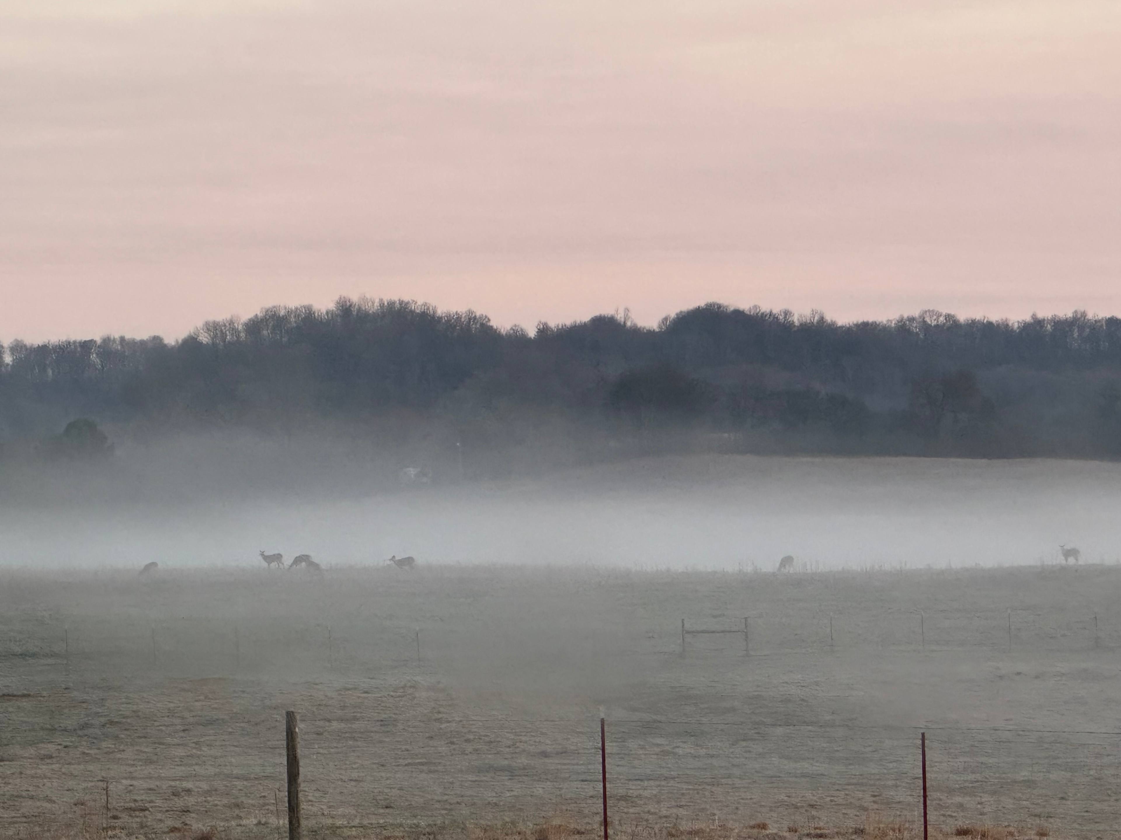 Hostetler Homestead