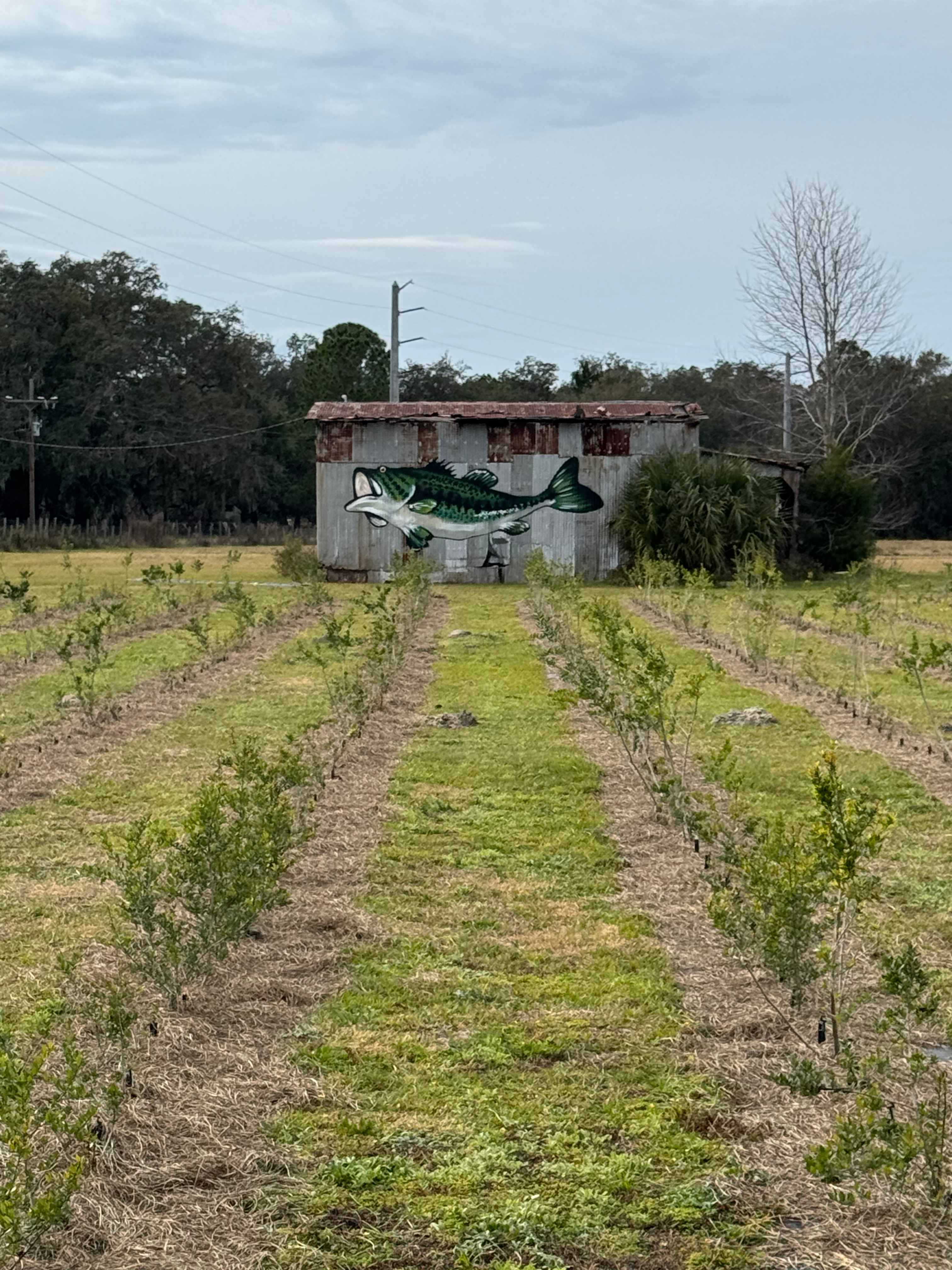Eagle's Nest Farms