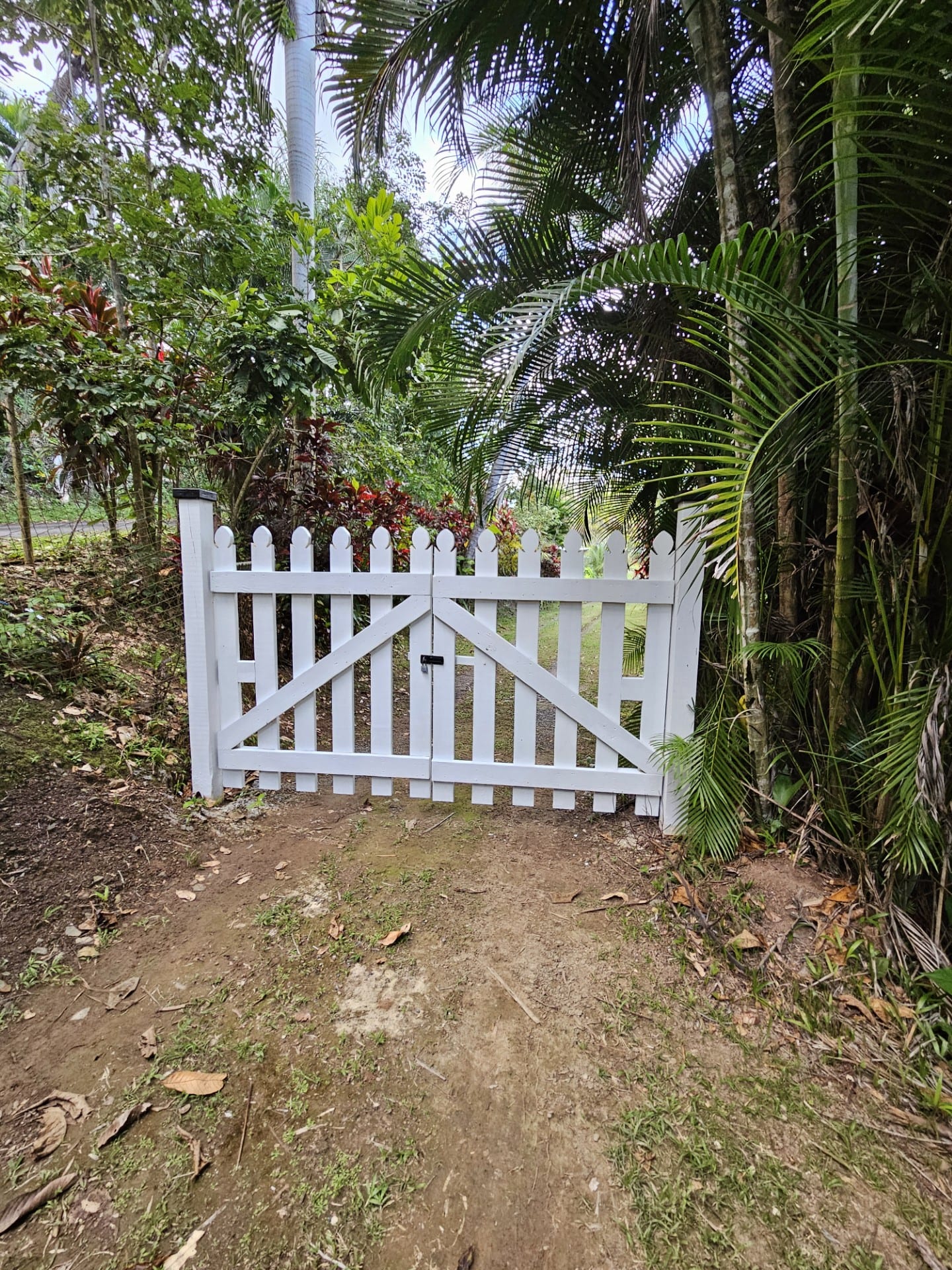 Welcome to Hippie Lake Camp, Lago Dos Bocas, Utuado Puerto Rico