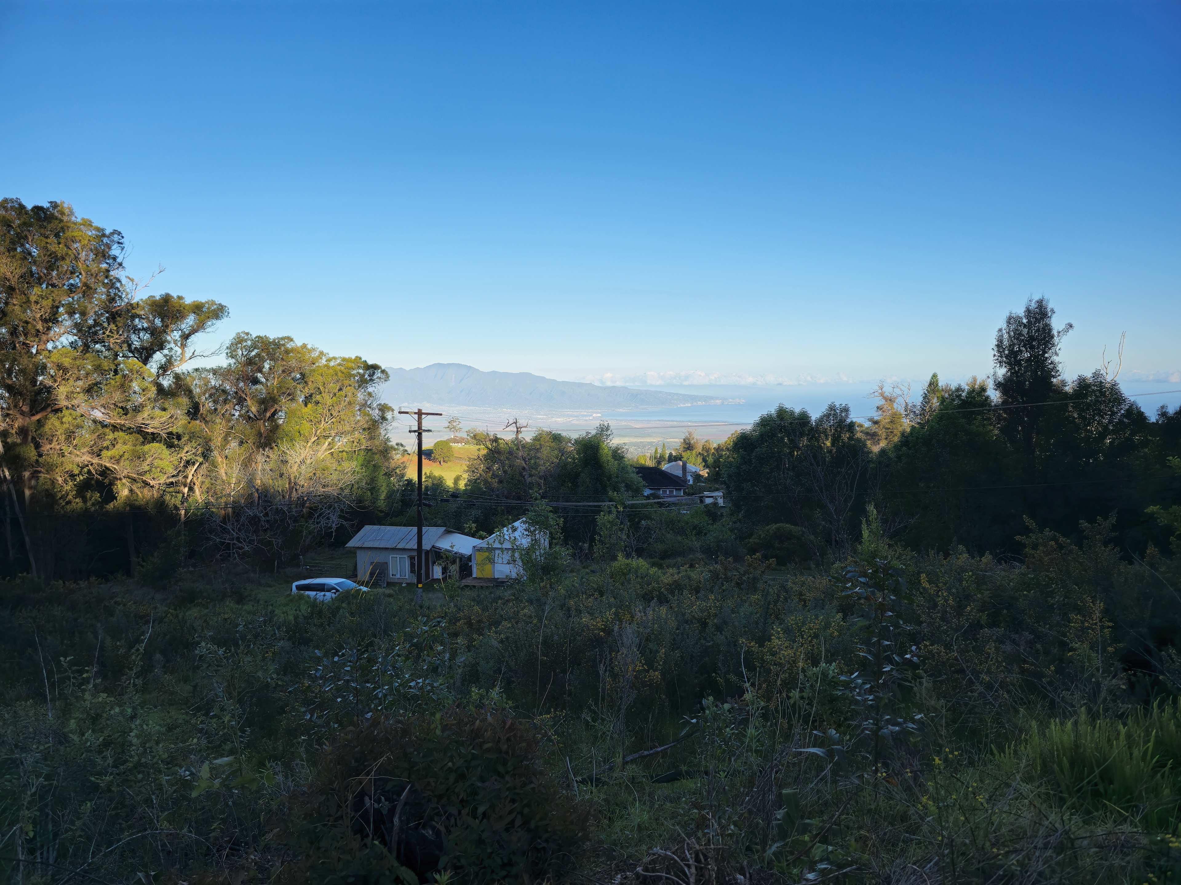 View from the site