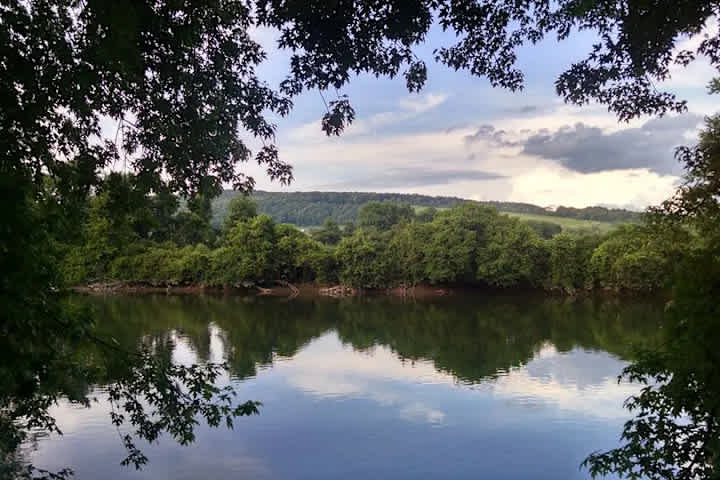 Tall Pines Riverfront Campground