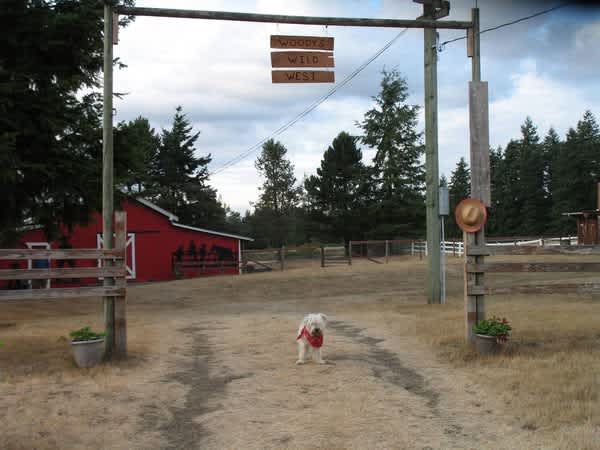 Wild West Town @ CPNW