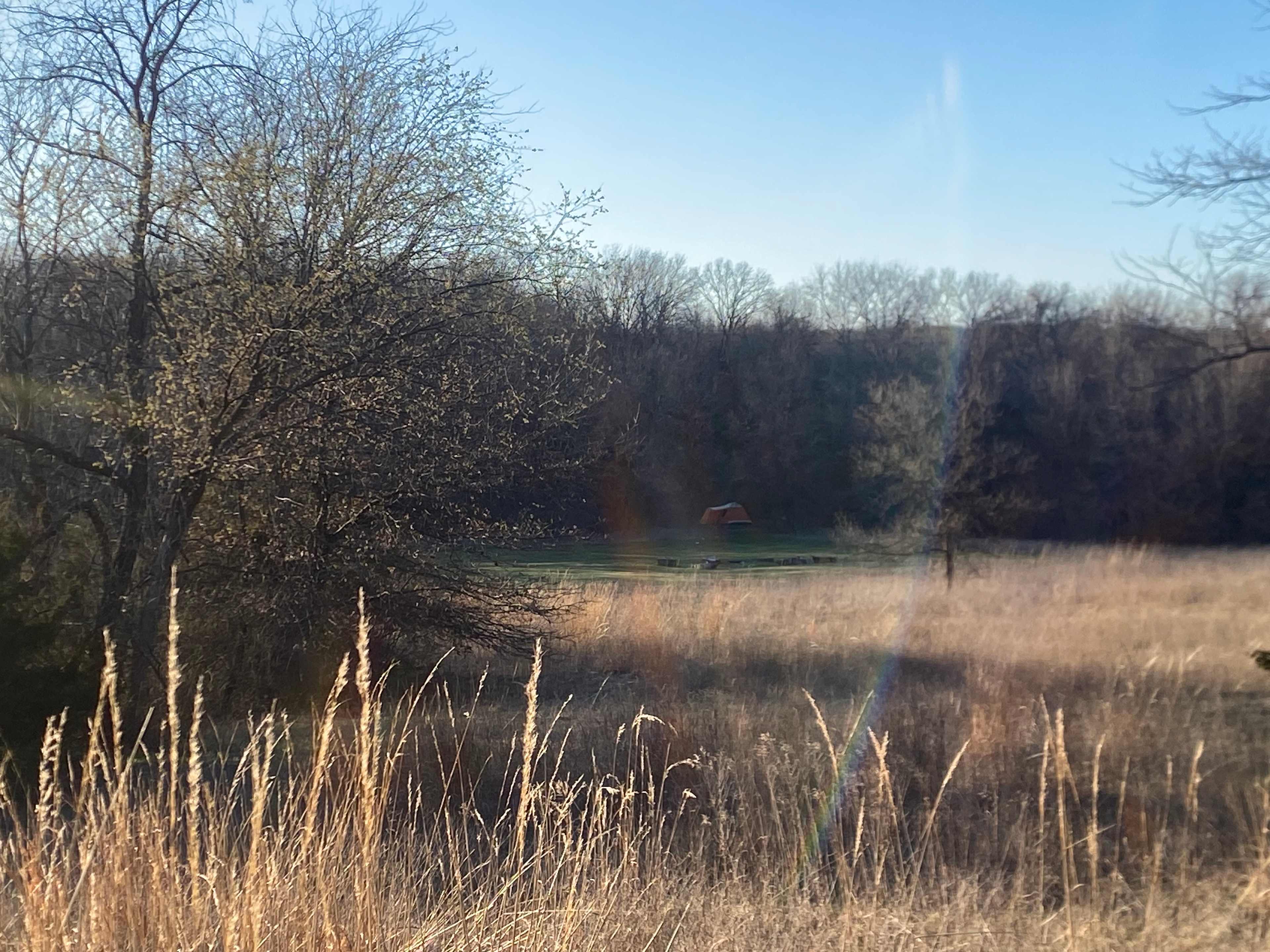 Campsite from across the meadow