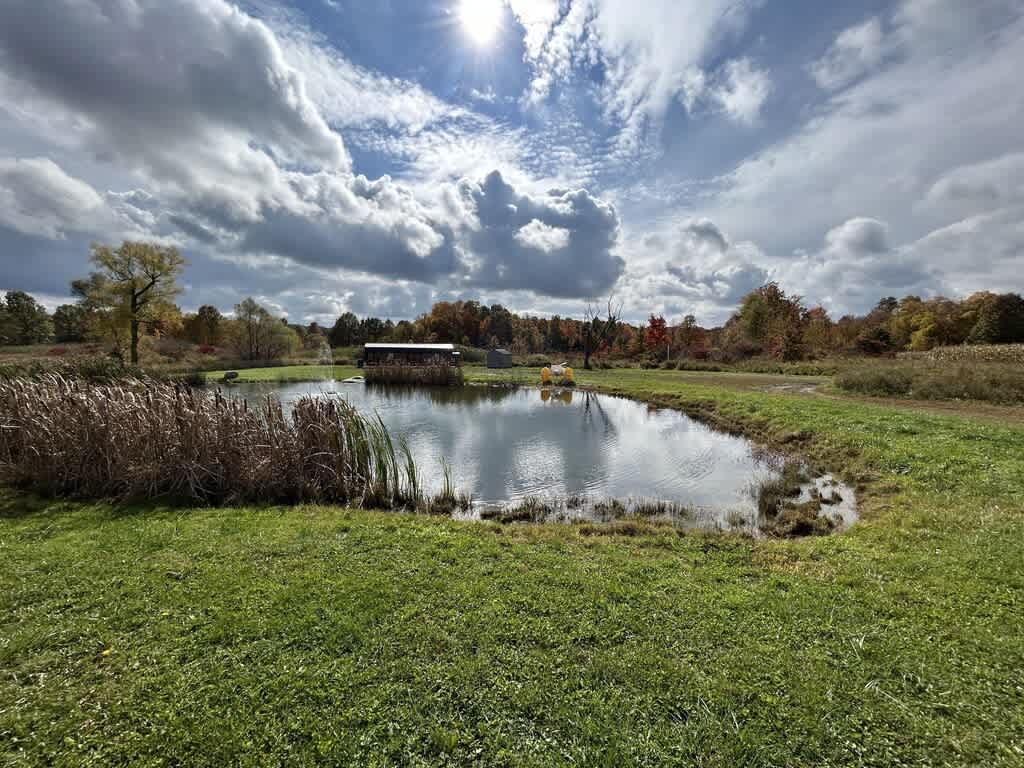 BAM Acres Cabin