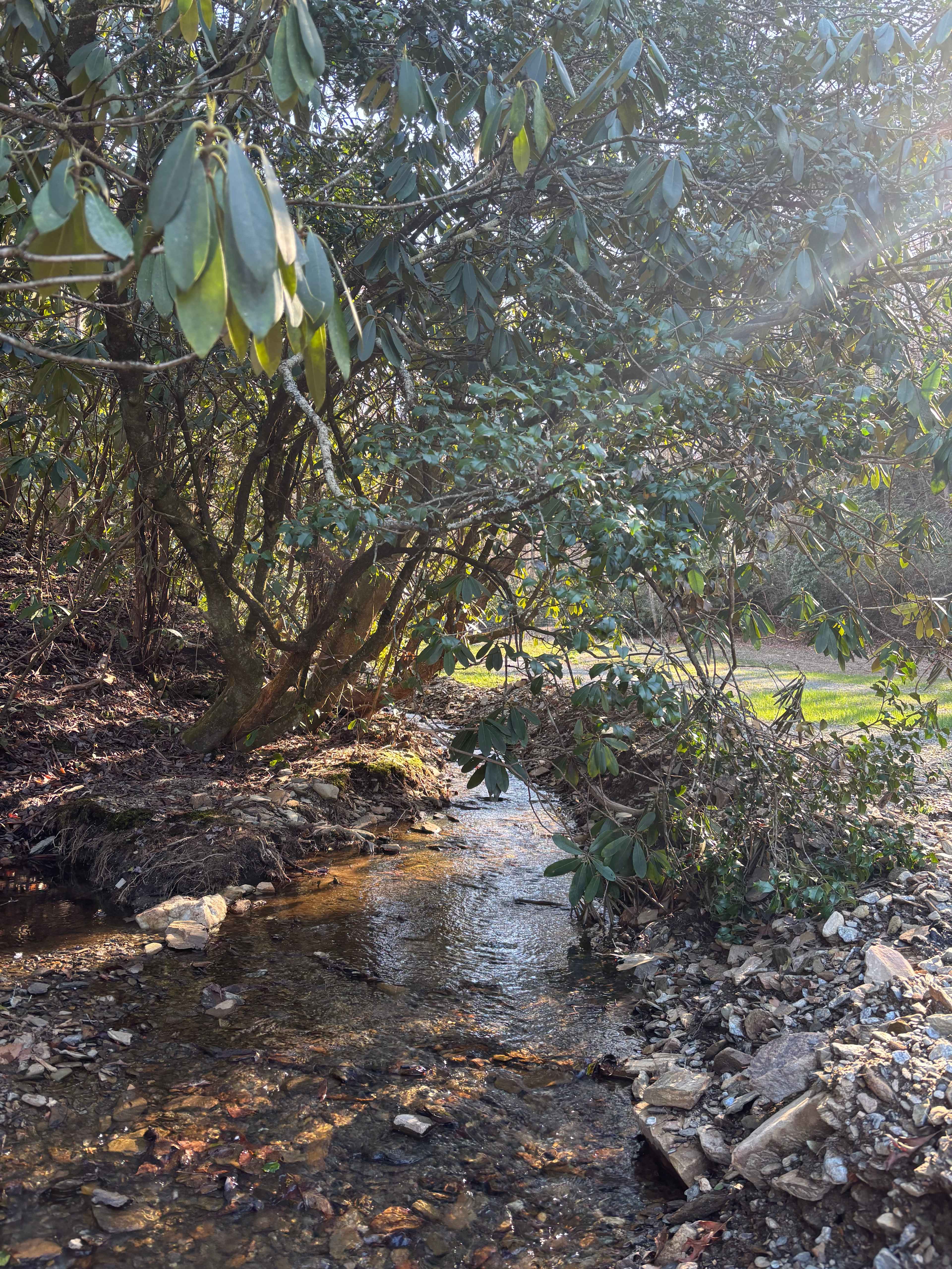 Trails & Tails Waterfalls Retreat