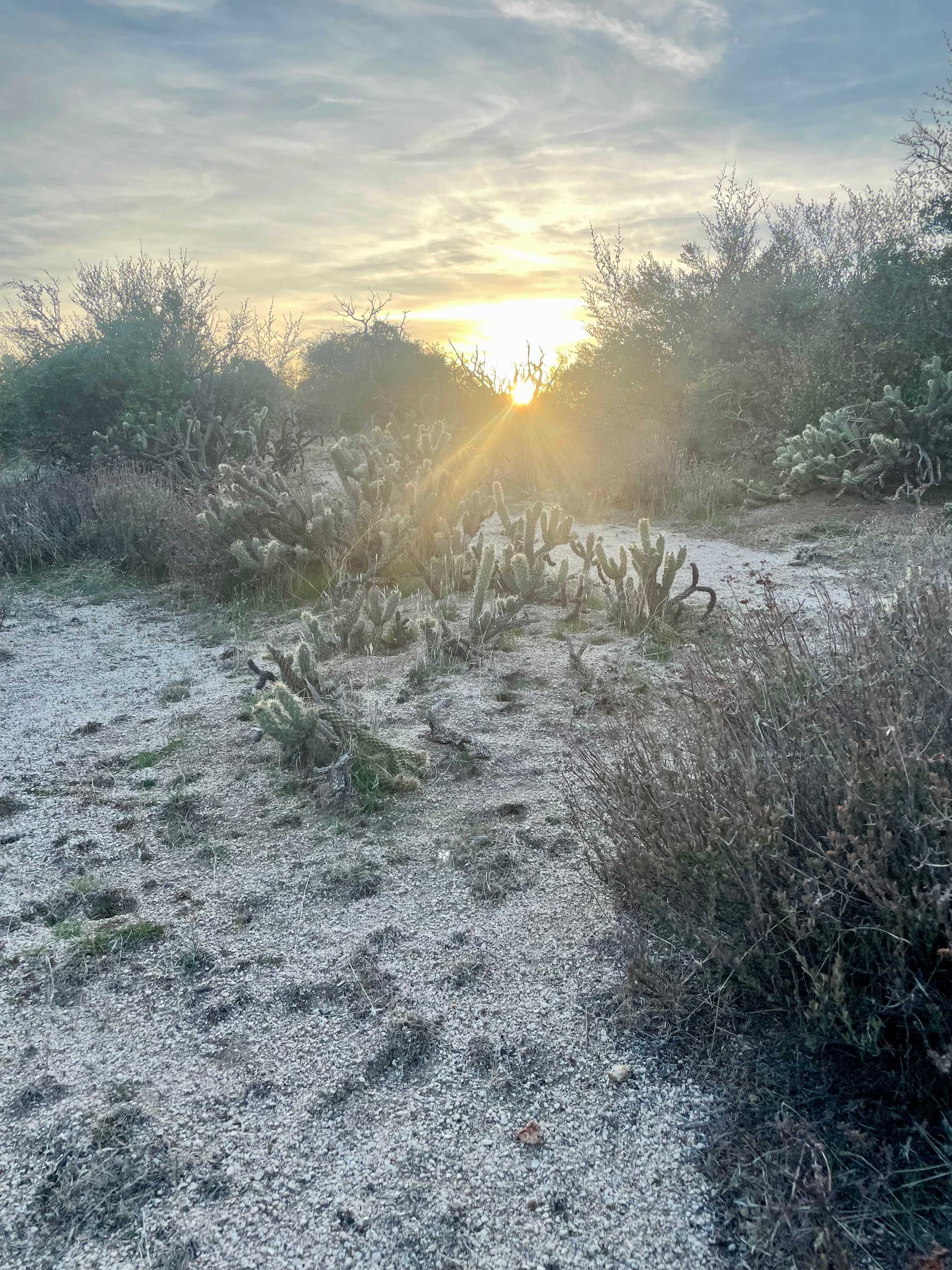 Montezuma Valley Campground